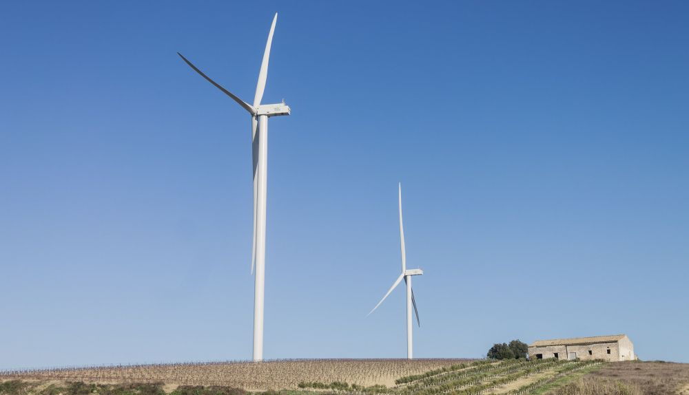 Molinos eólicos en una viña del Marco.