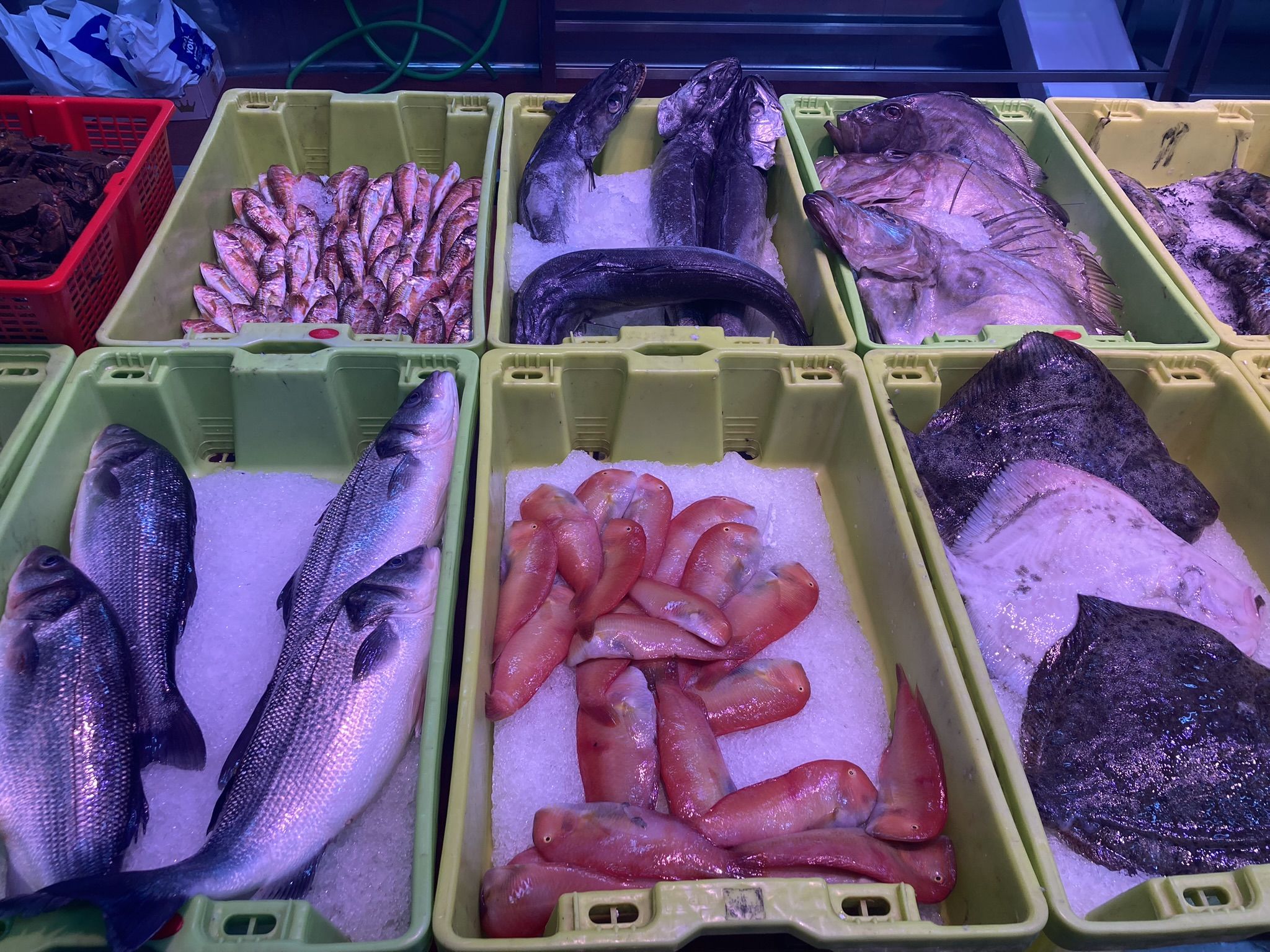 En los hogares españoles el consumo de pescado ha disminuido un 25 % desde 2008. CEPESCA
