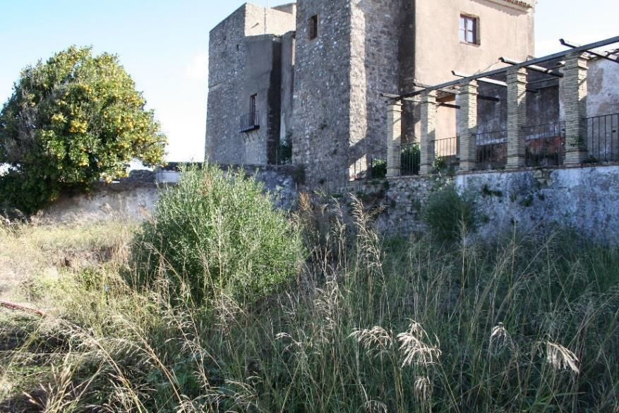Imagen del castillo de Castellar.