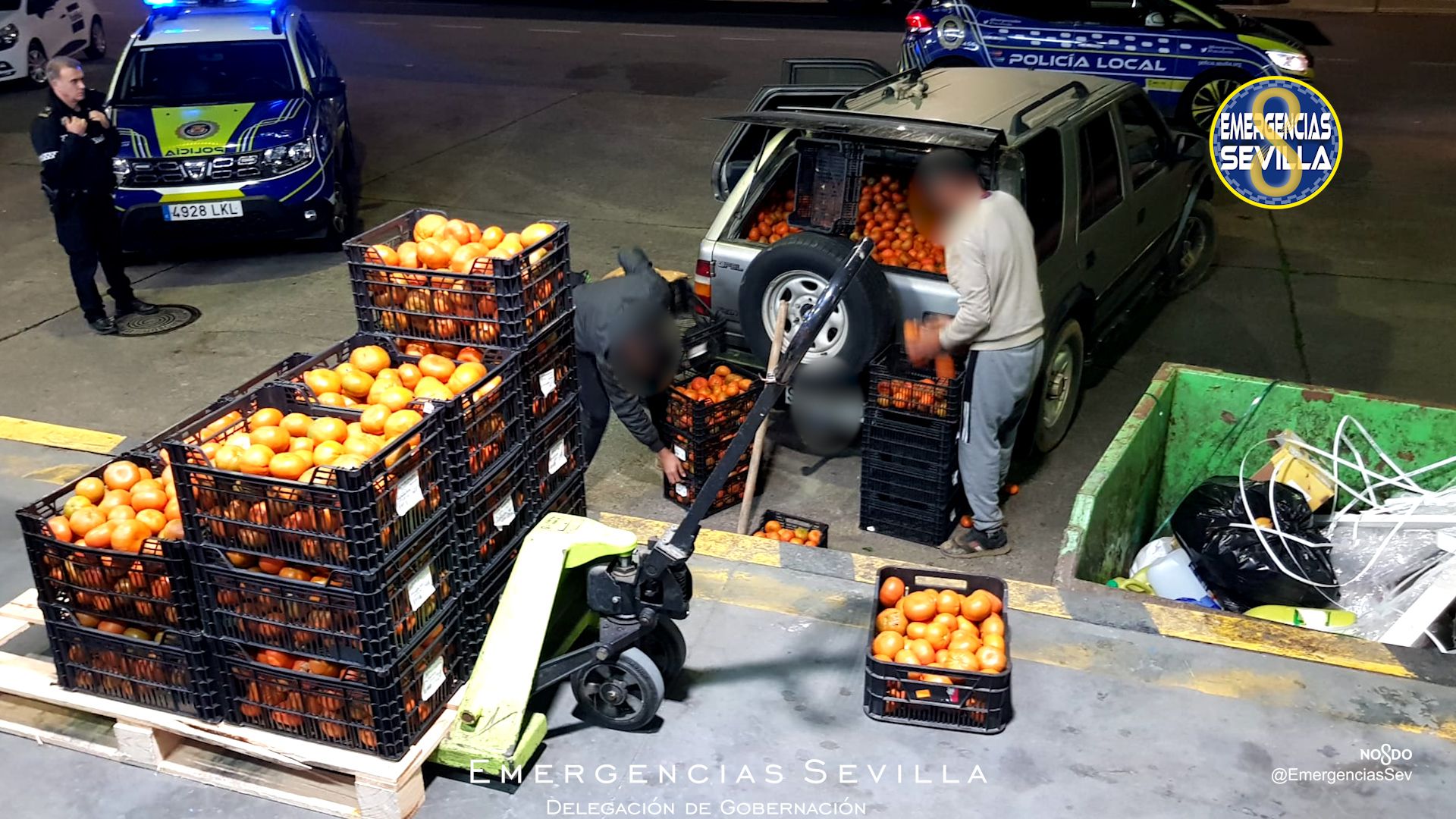 Naranjas robadas e incautadas por la Policía Local de Sevilla.