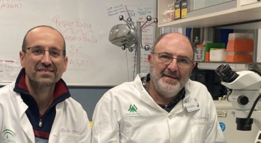 Javier Villadiego y Juan José Toledo Aral, los científicos de Andalucía que han participado en la investigación.