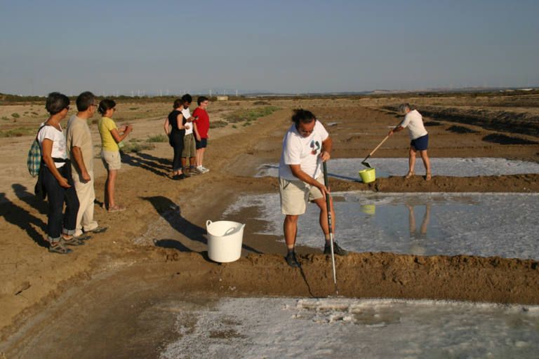 Ecologistas trabajando en la salina de San José.