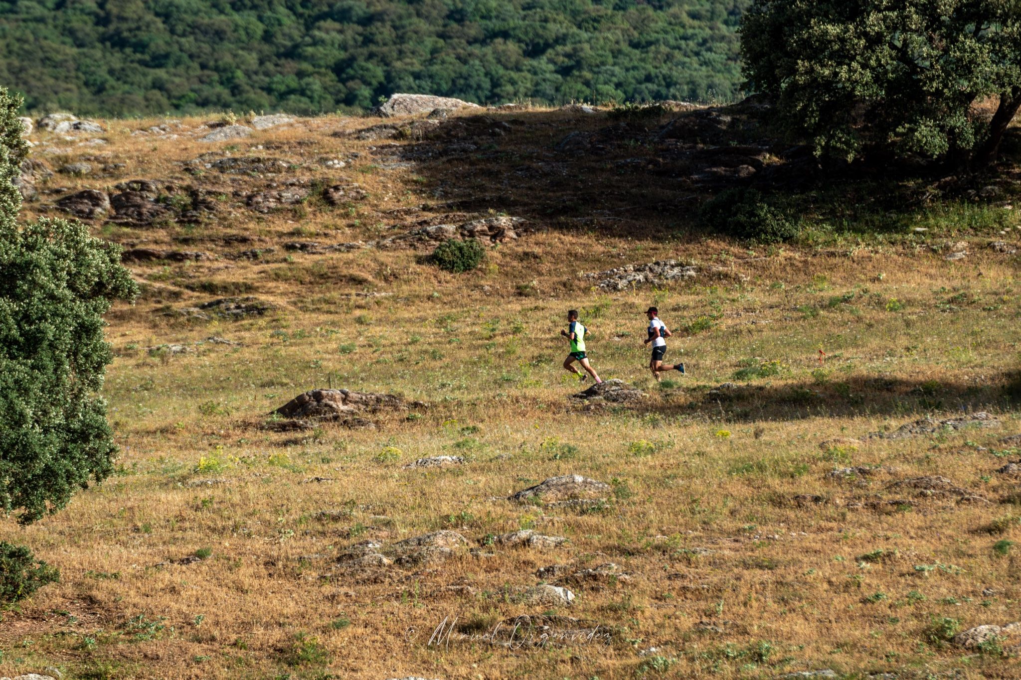 'Runners' y senderistas se encuentran este fin de semana por los Llanos del Republicano. Corredores en Villaluenga, en una imagen de Manuel Organvidez Rodriguez.