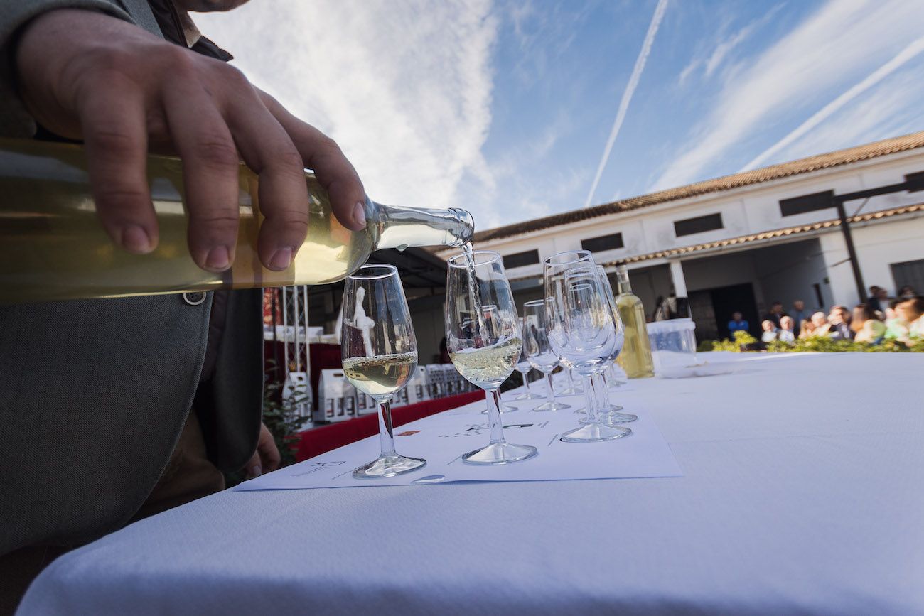 Un momento del pasado concurso de mosto de Trebujena.