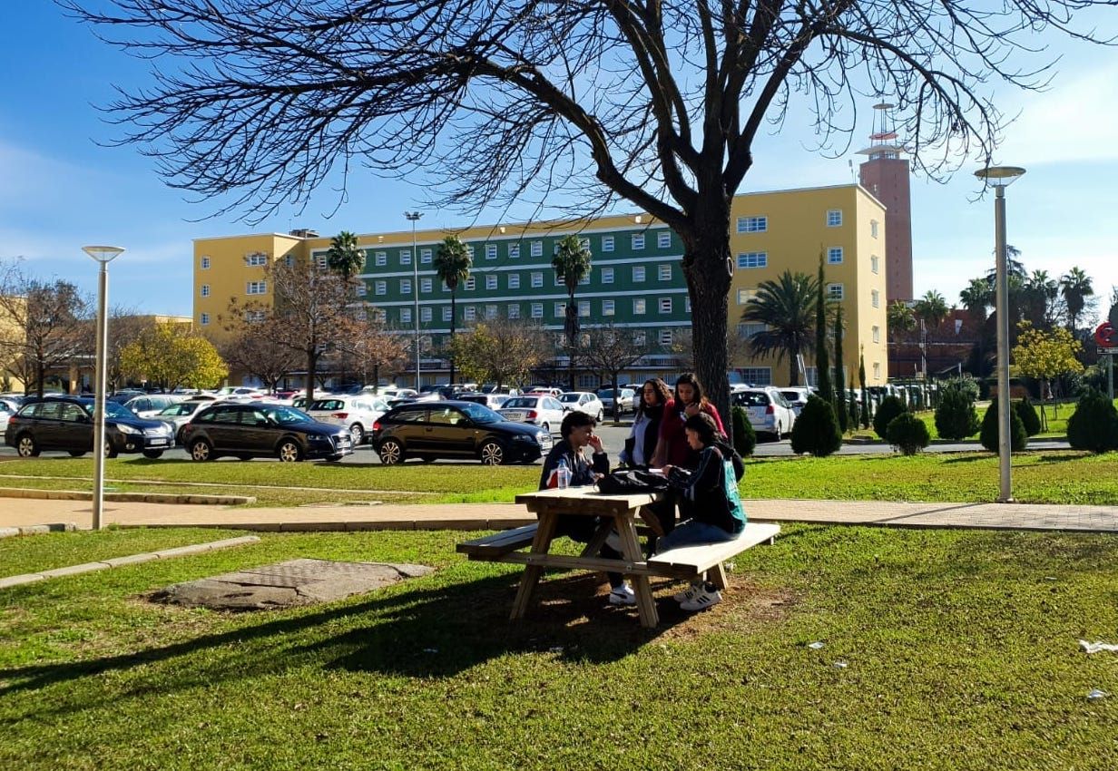 Estudiantes de la UPO, durante un descanso.