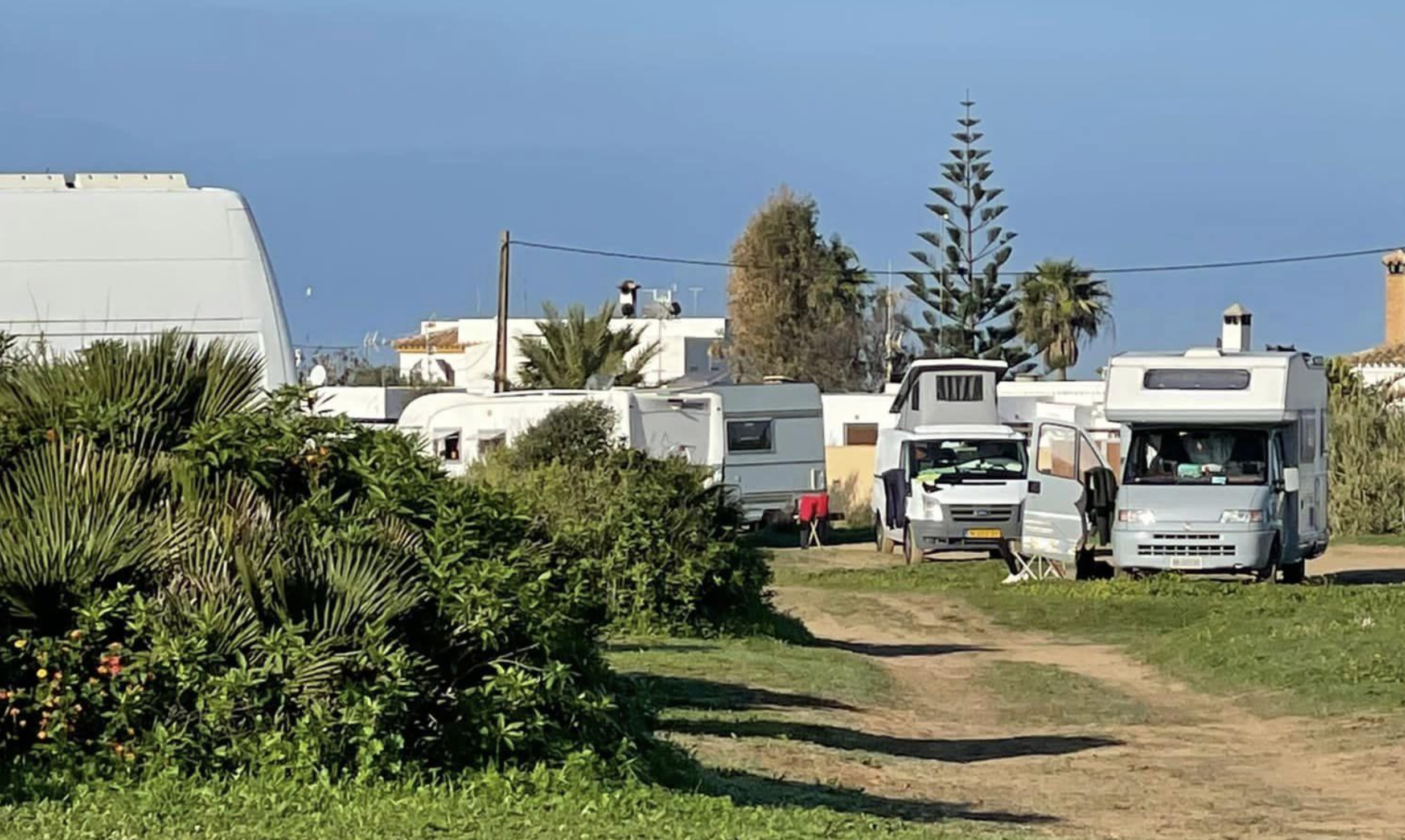 Autocaravanas acampadas en la dehesa de El Palmar.
