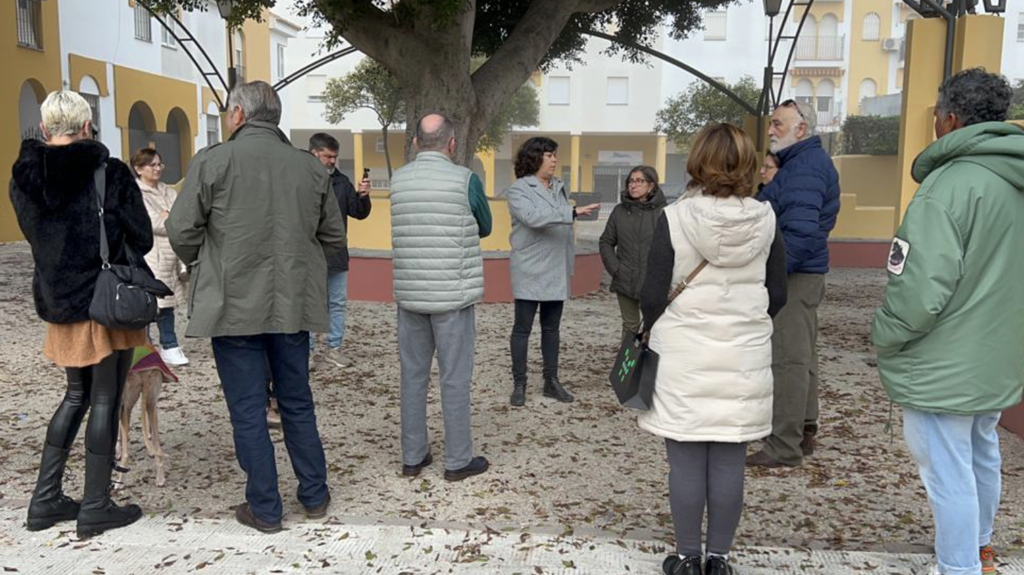 Vecinos y vecinas de la plaza Andrés Segovia sufren problemas de vandalismo y temen por un ficus enorme en Sanlúcar.