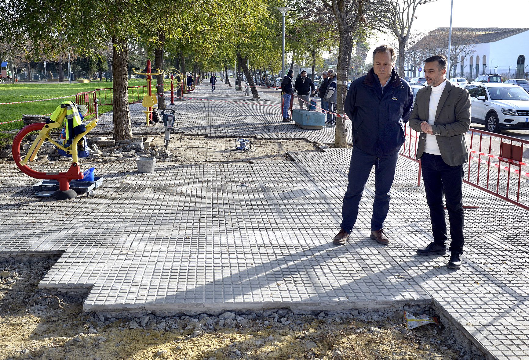 Plantaciones de árboles con 20 años 'revientan' la avenida del 'Colesterol' en Jerez.