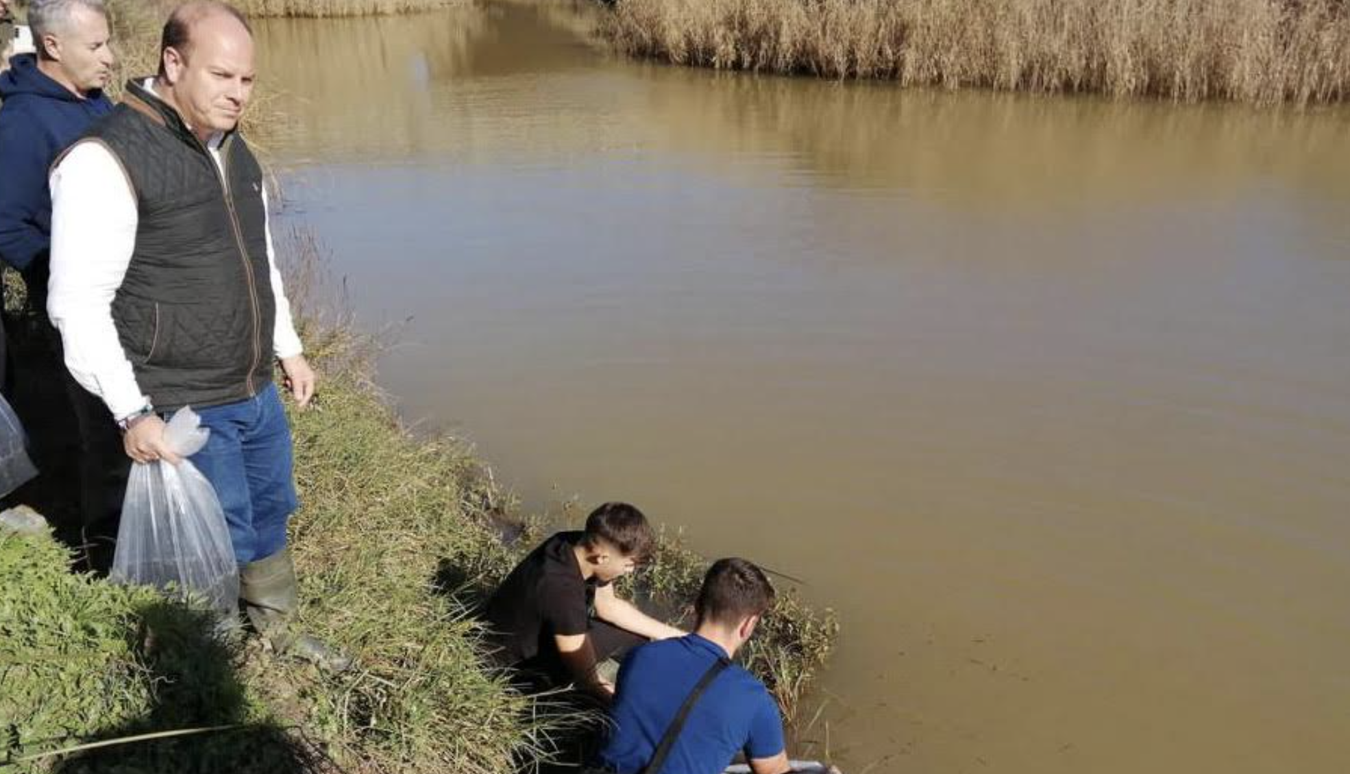 'Salvan' 140 kilos de anguilas del mercado negro y vuelven a su medio natural en los ríos de Cádiz.