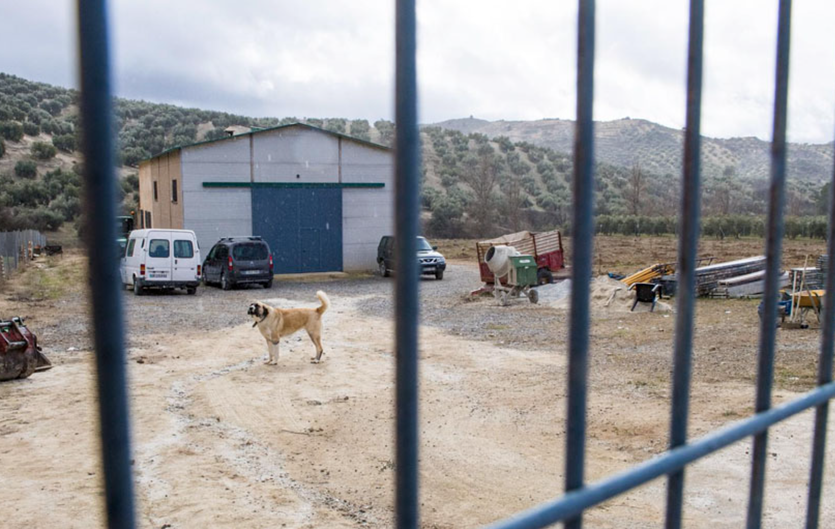 Imagen de la finca donde ocurrió el misterioso crimen de Jayena, en una imagen de 'Canal Sur'.