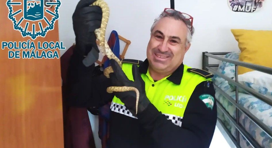 Policía Local en Málaga encuentra una serpiente. 