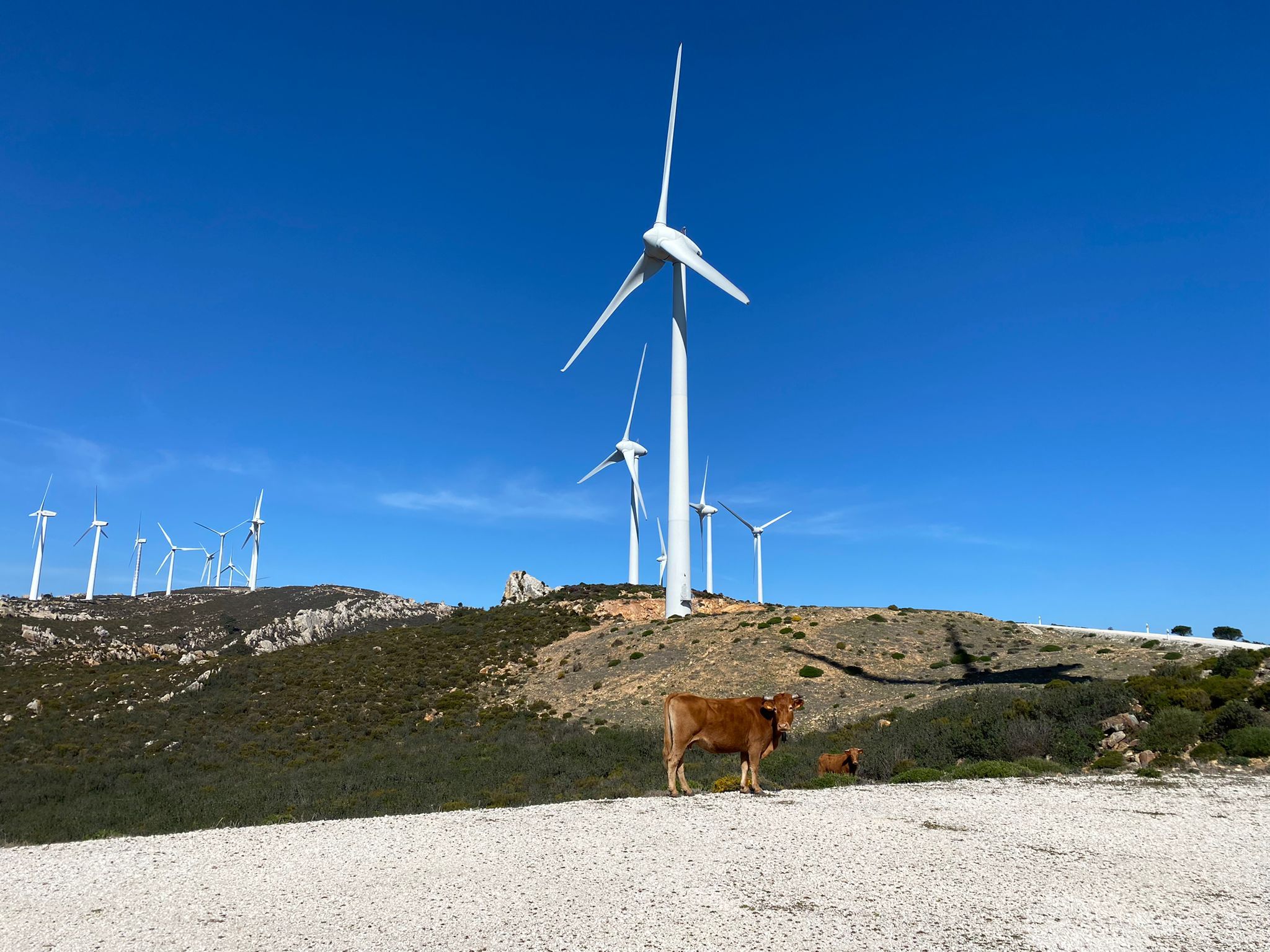 Con más de 28 GW de parques eólicos, España es el segundo mercado de energía eólica de Europa. AEE