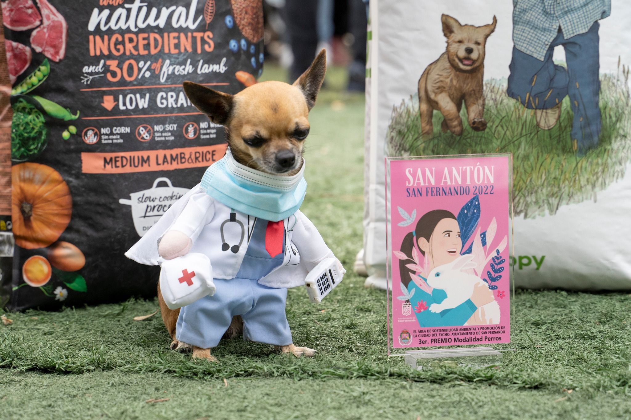 Imagen del San Antón de 2022.