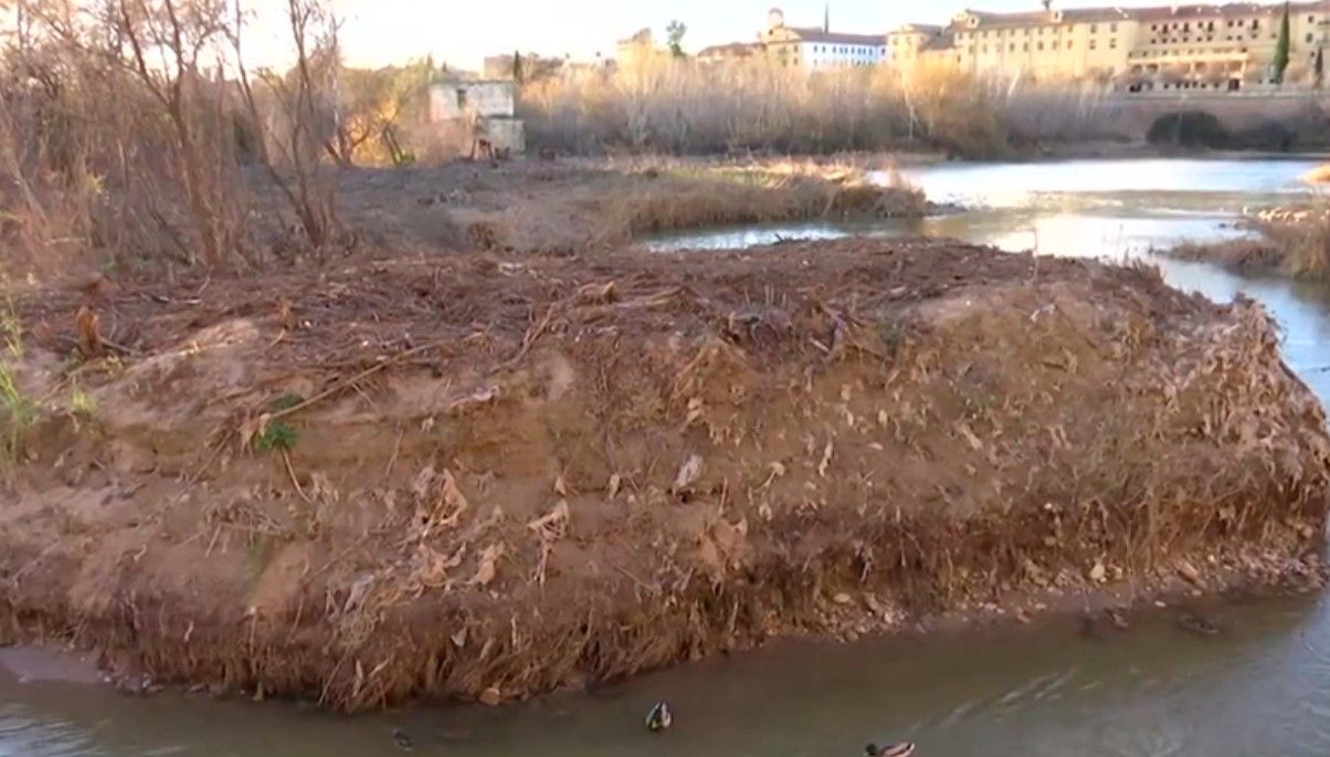 Isla de toallitas en Córdoba.  CANAL SUR