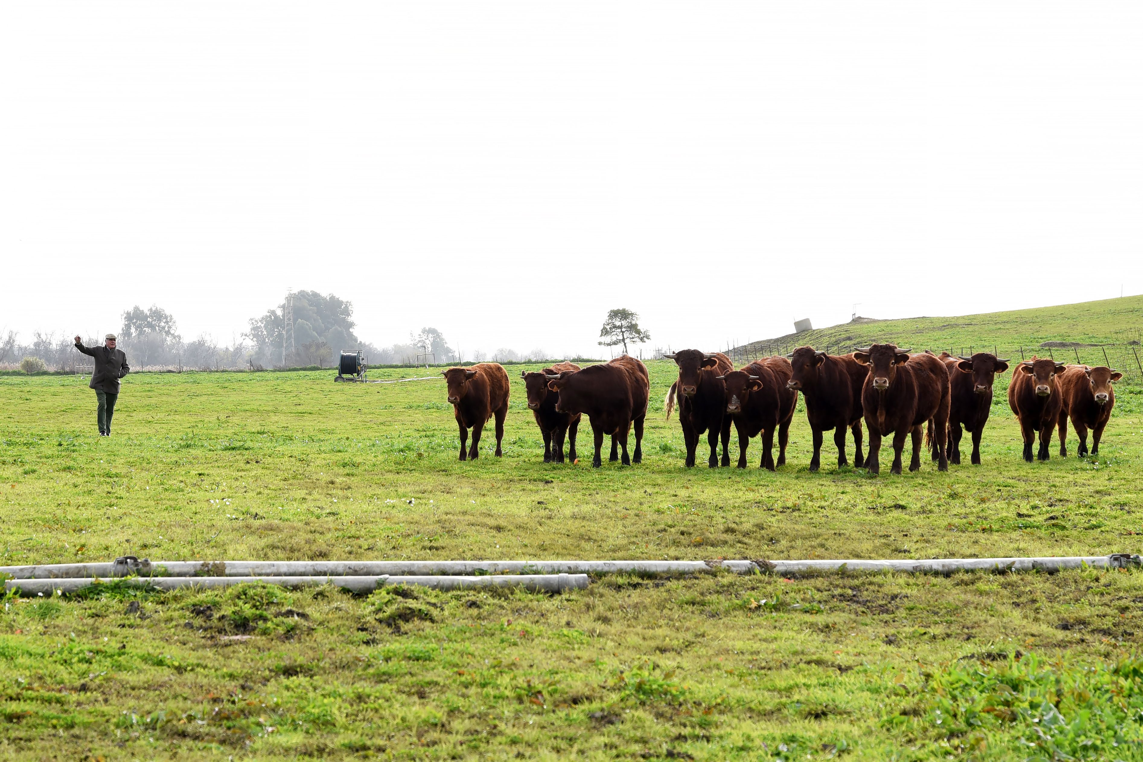 Agustín, el impulsor de los productos ecológicos de 'El Cercado de la Era'.