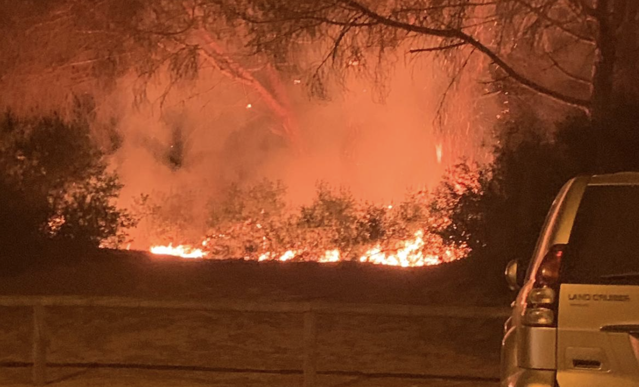 El pinar, en llamas, en la noche del pasado viernes. FOTO: TONIZA-ECOLOGISTAS EN ACCIÓN