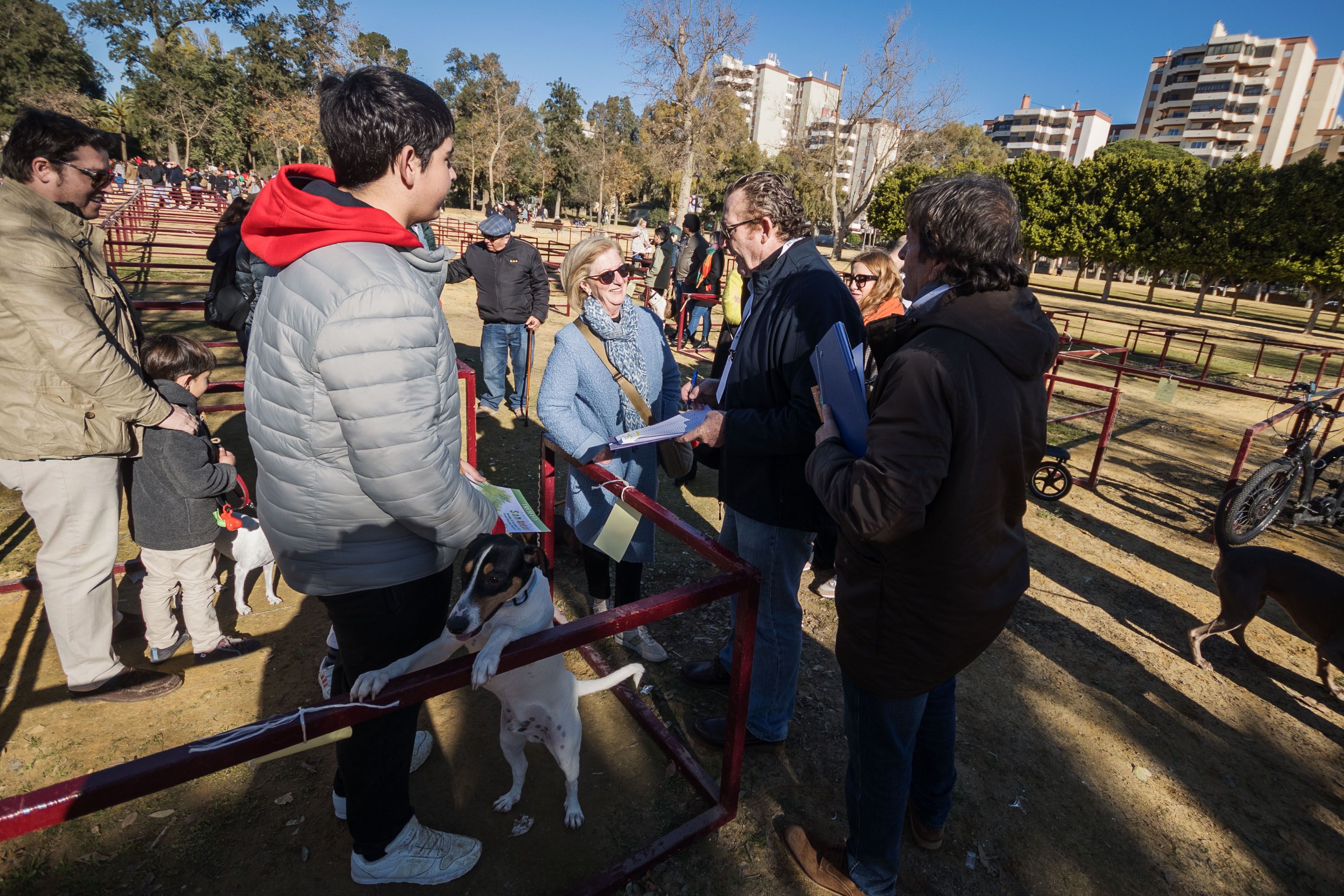 Fiesta de San Antón de 2023 en Jerez Fiesta de San Antón de 2023 en Jerez
