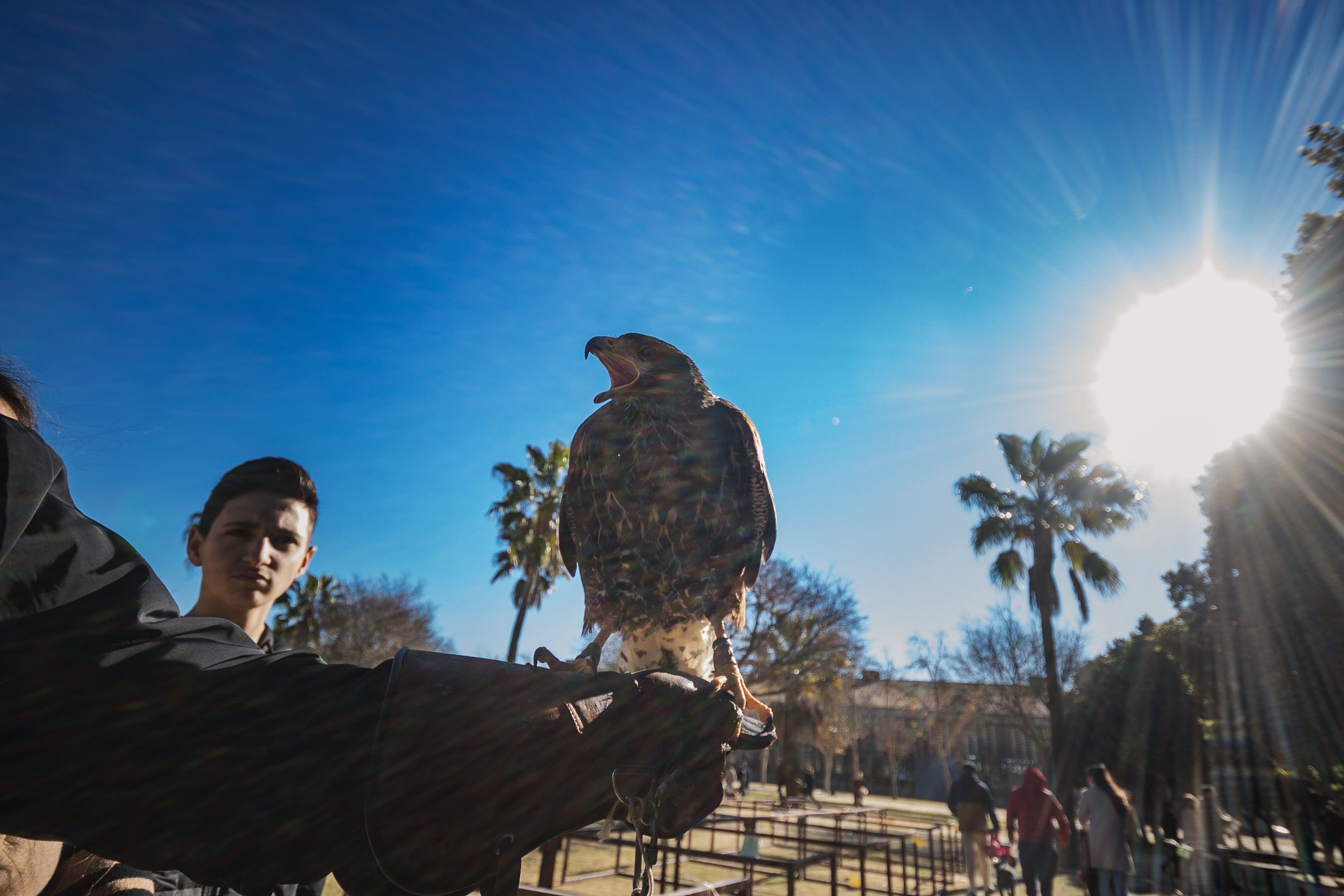 Fiesta de San Antón de 2023 en Jerez Fiesta de San Antón de 2023 en Jerez