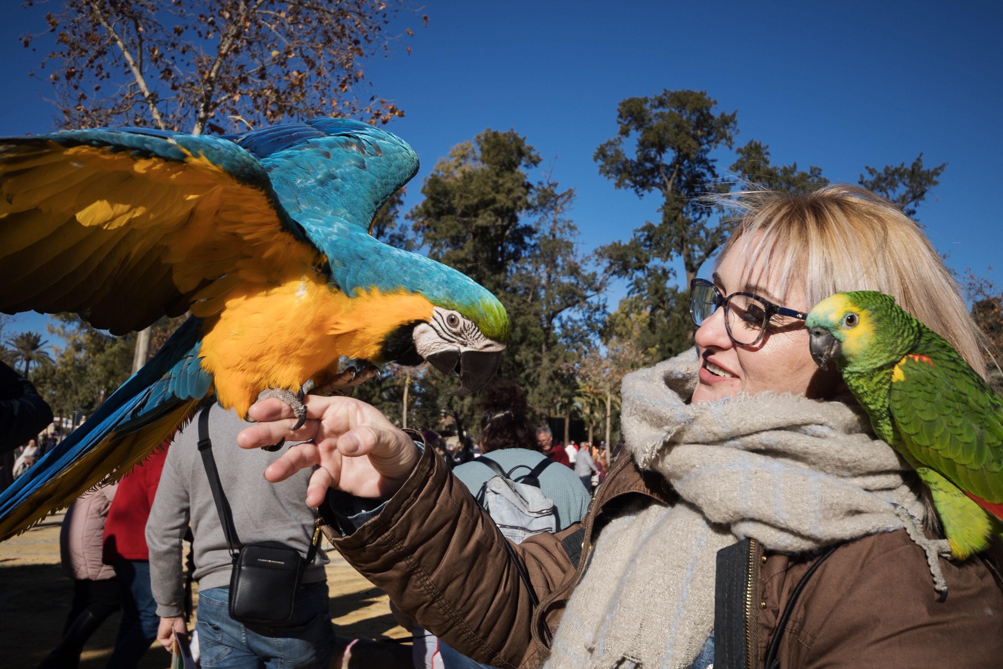 Fiesta de San Antón de 2023 en Jerez Fiesta de San Antón de 2023 en Jerez