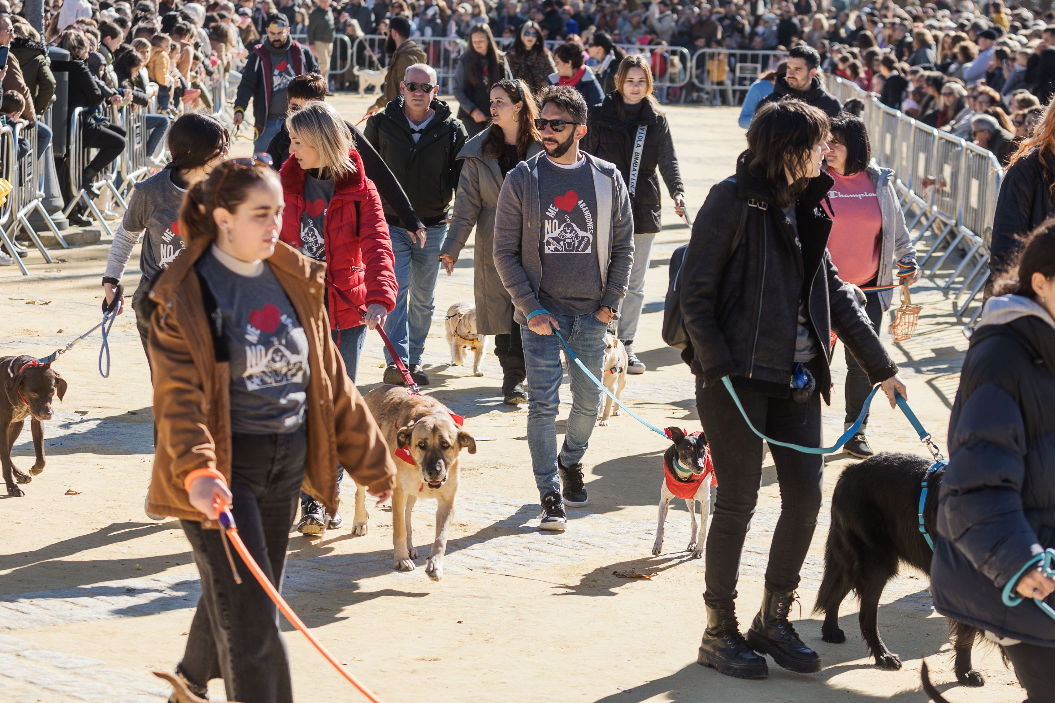 Fiesta de San Antón de 2023 en Jerez Fiesta de San Antón de 2023 en Jerez