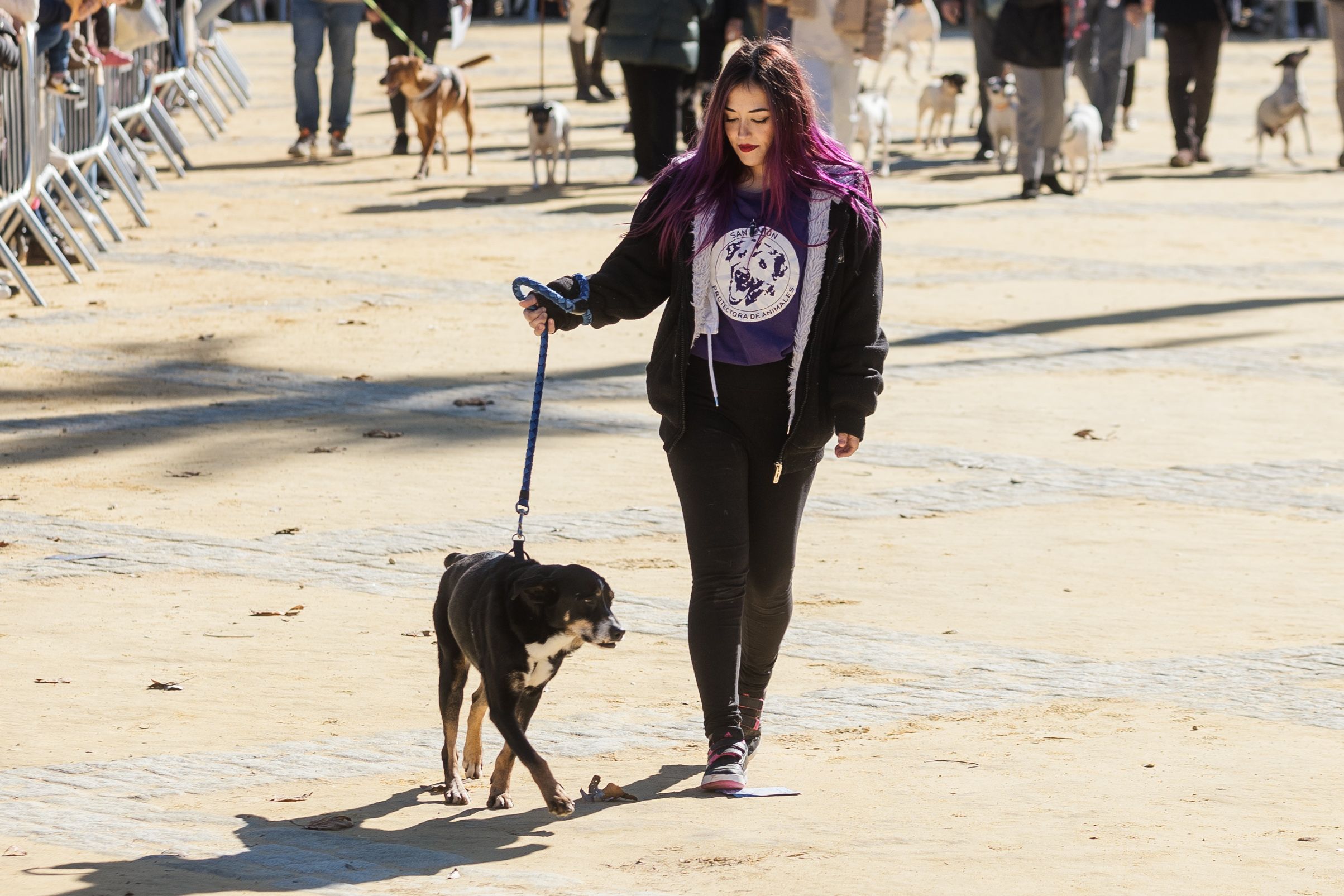 Fiesta de San Antón de 2023 en Jerez Fiesta de San Antón de 2023 en Jerez