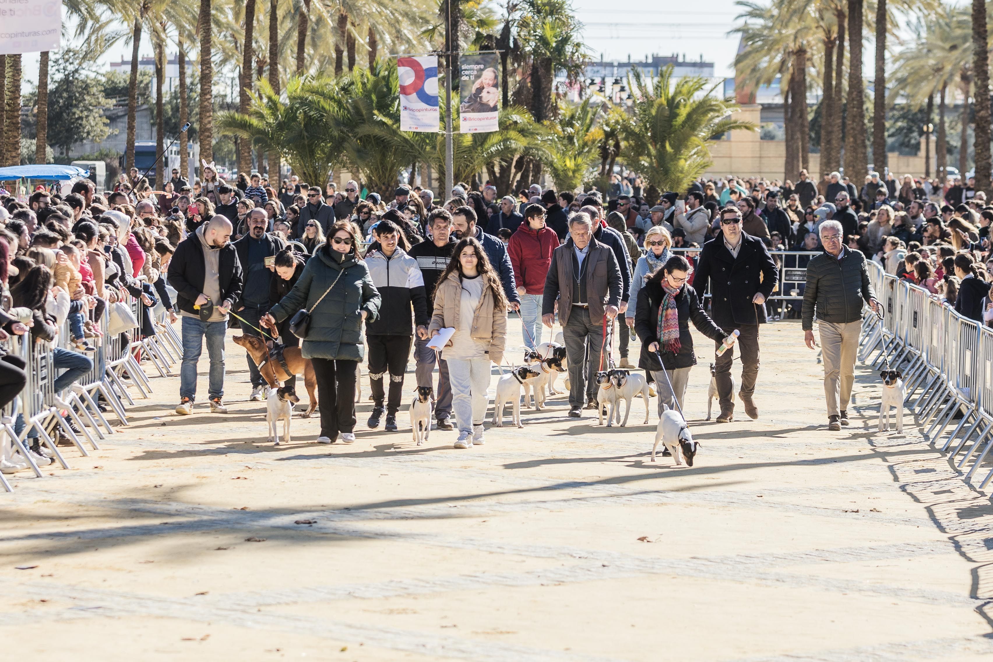 Fiesta de San Antón de 2023 en Jerez Fiesta de San Antón de 2023 en Jerez
