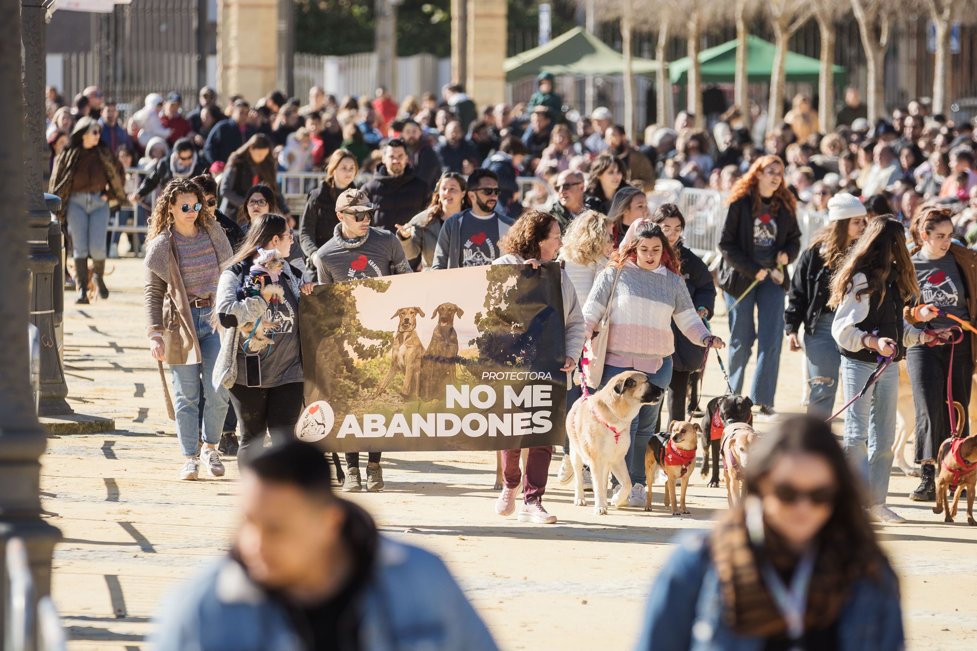 Fiesta de San Antón de 2023 en Jerez. Fiesta de San Antón de 2023 en Jerez.