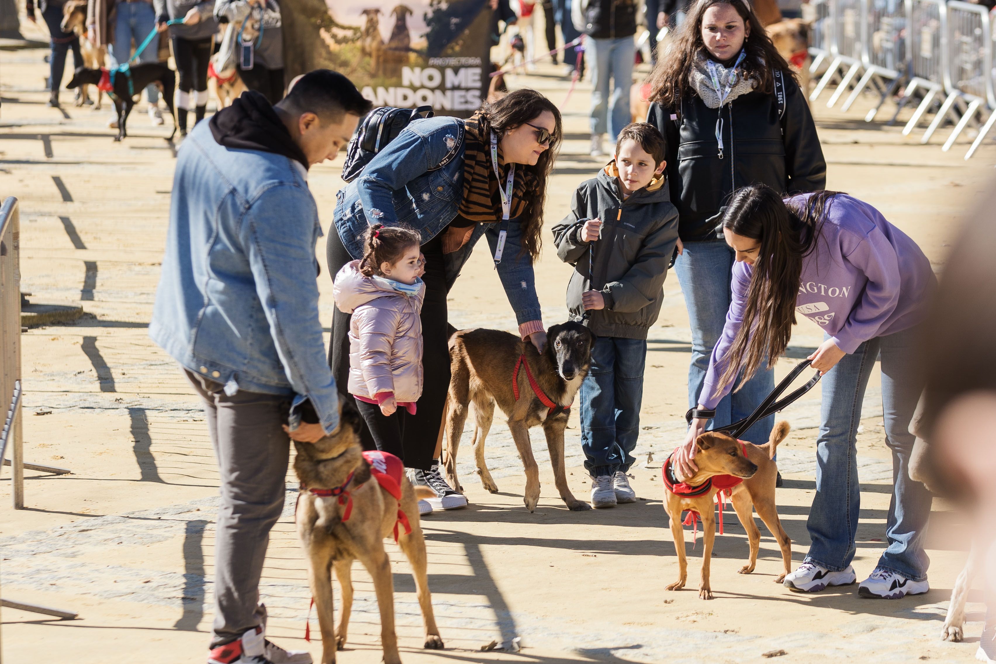 Fiesta de San Antón de 2023 en Jerez Fiesta de San Antón de 2023 en Jerez