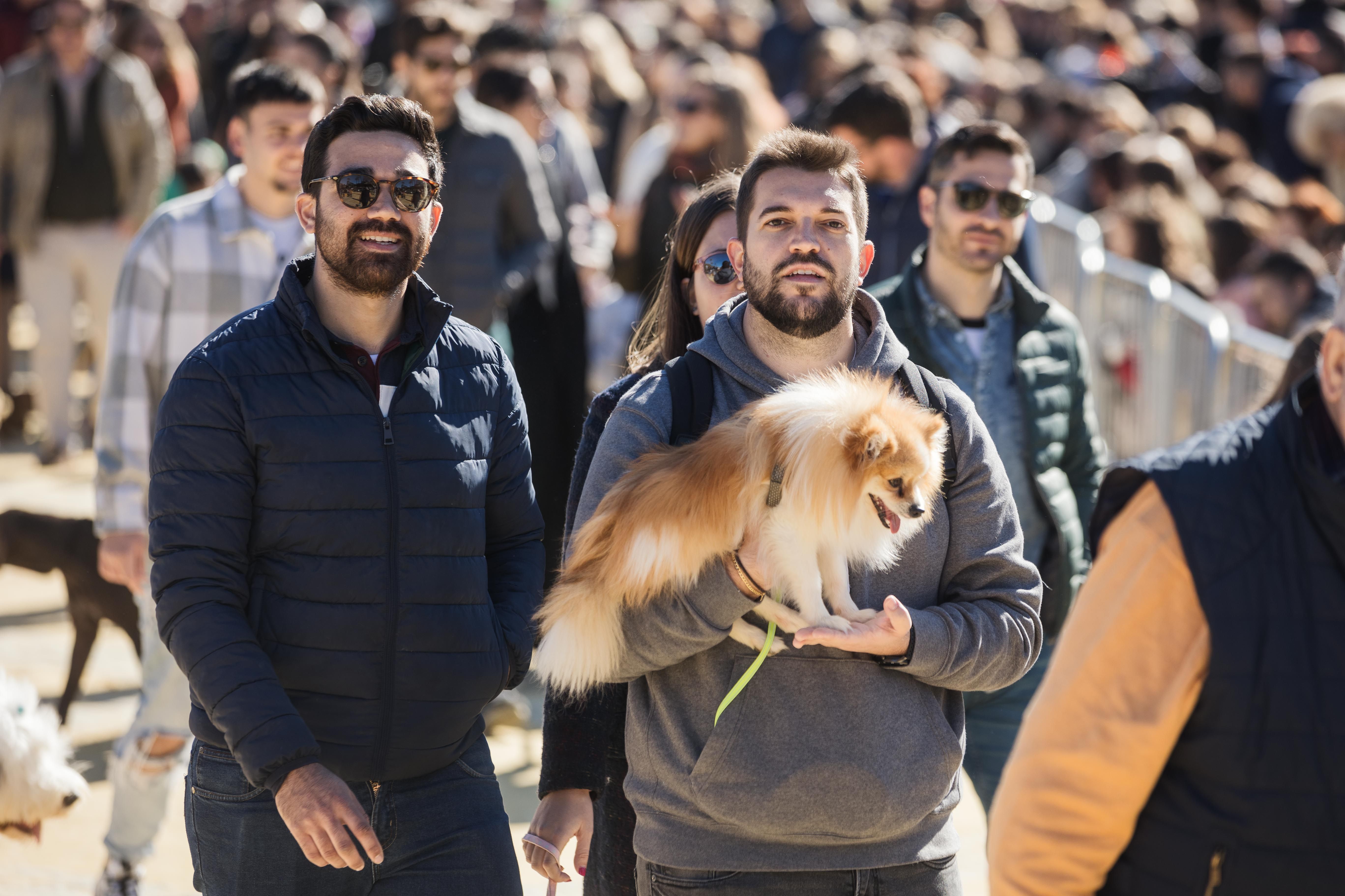Fiesta de San Antón de 2023 en Jerez Fiesta de San Antón de 2023 en Jerez