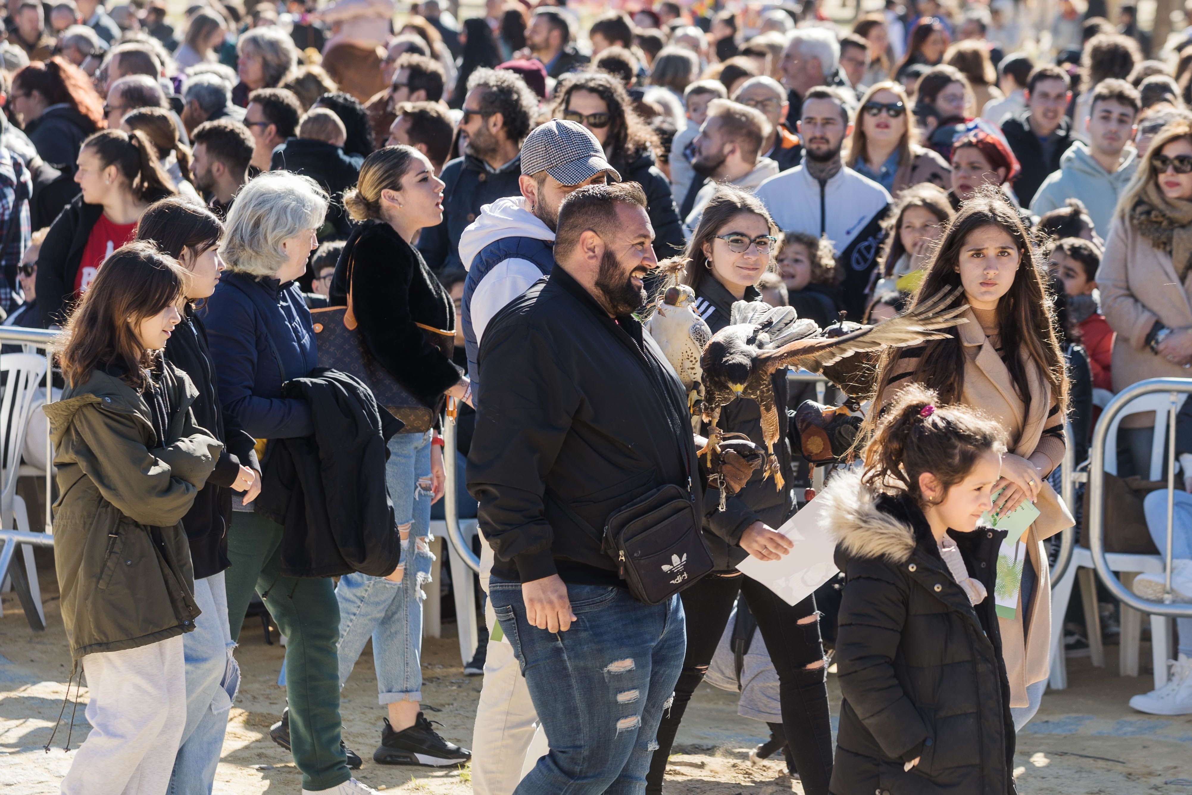 Fiesta de San Antón de 2023 en Jerez Fiesta de San Antón de 2023 en Jerez