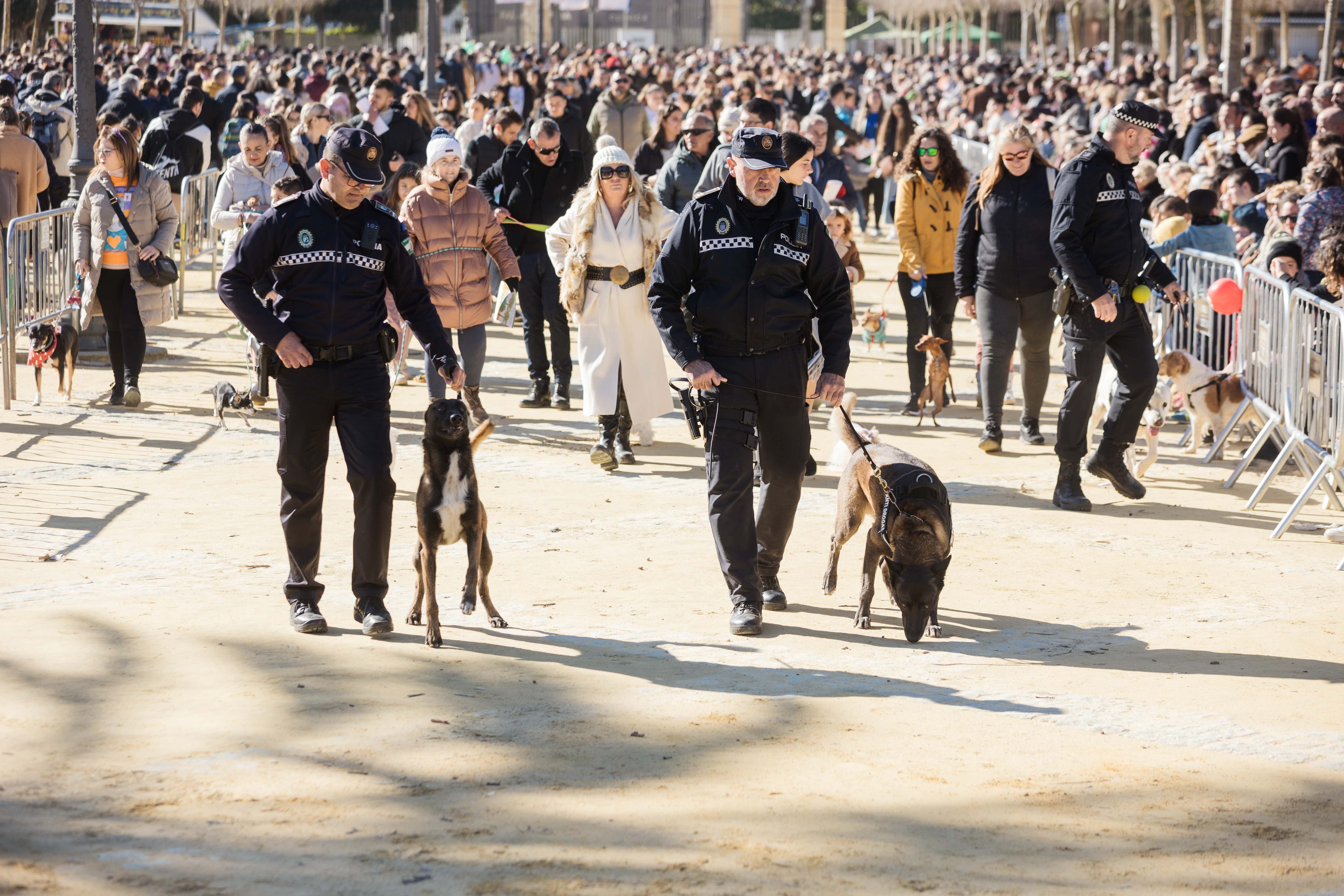 Fiesta de San Antón de 2023 en Jerez Fiesta de San Antón de 2023 en Jerez