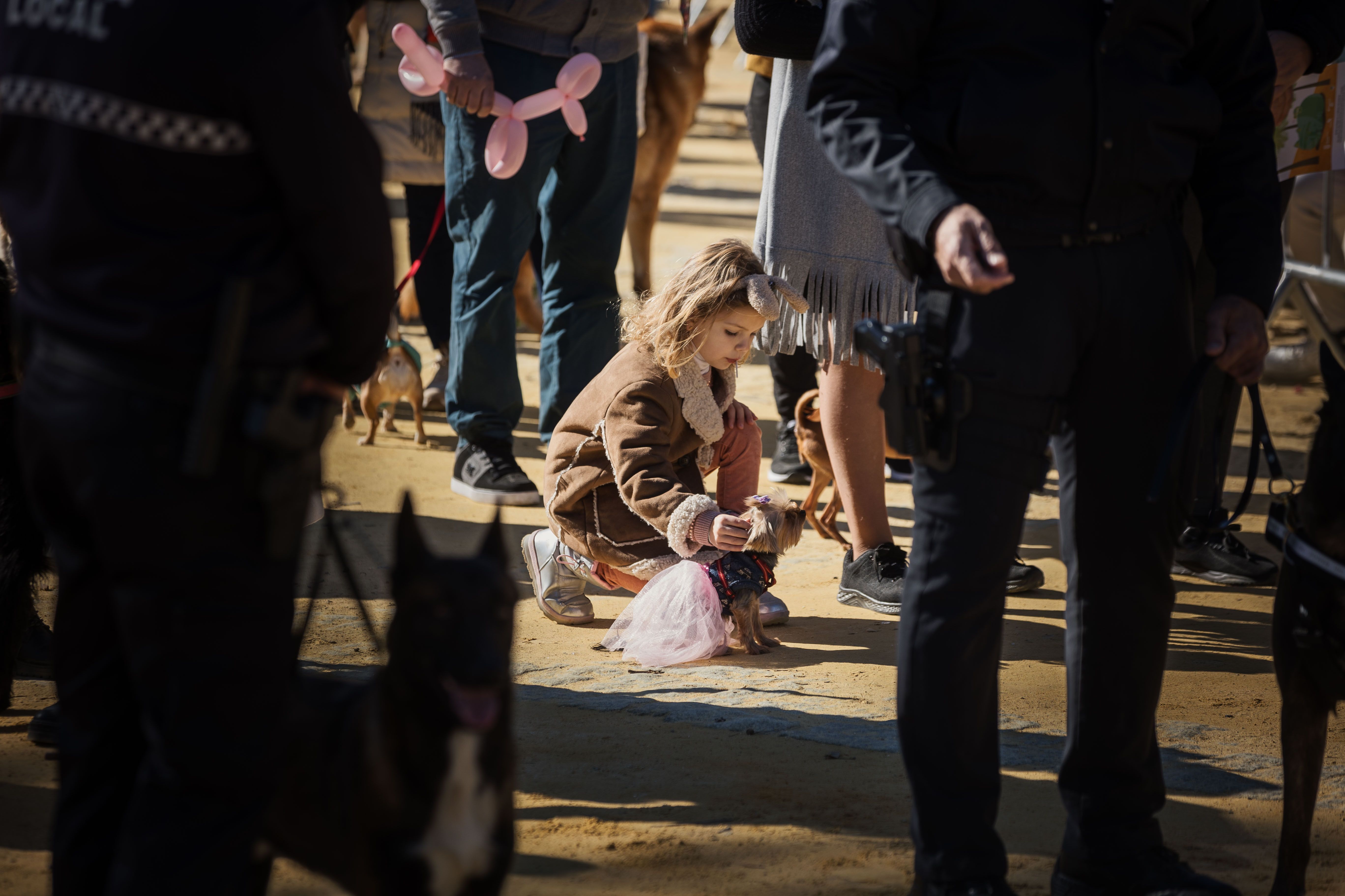Fiesta de San Antón de 2023 en Jerez Fiesta de San Antón de 2023 en Jerez