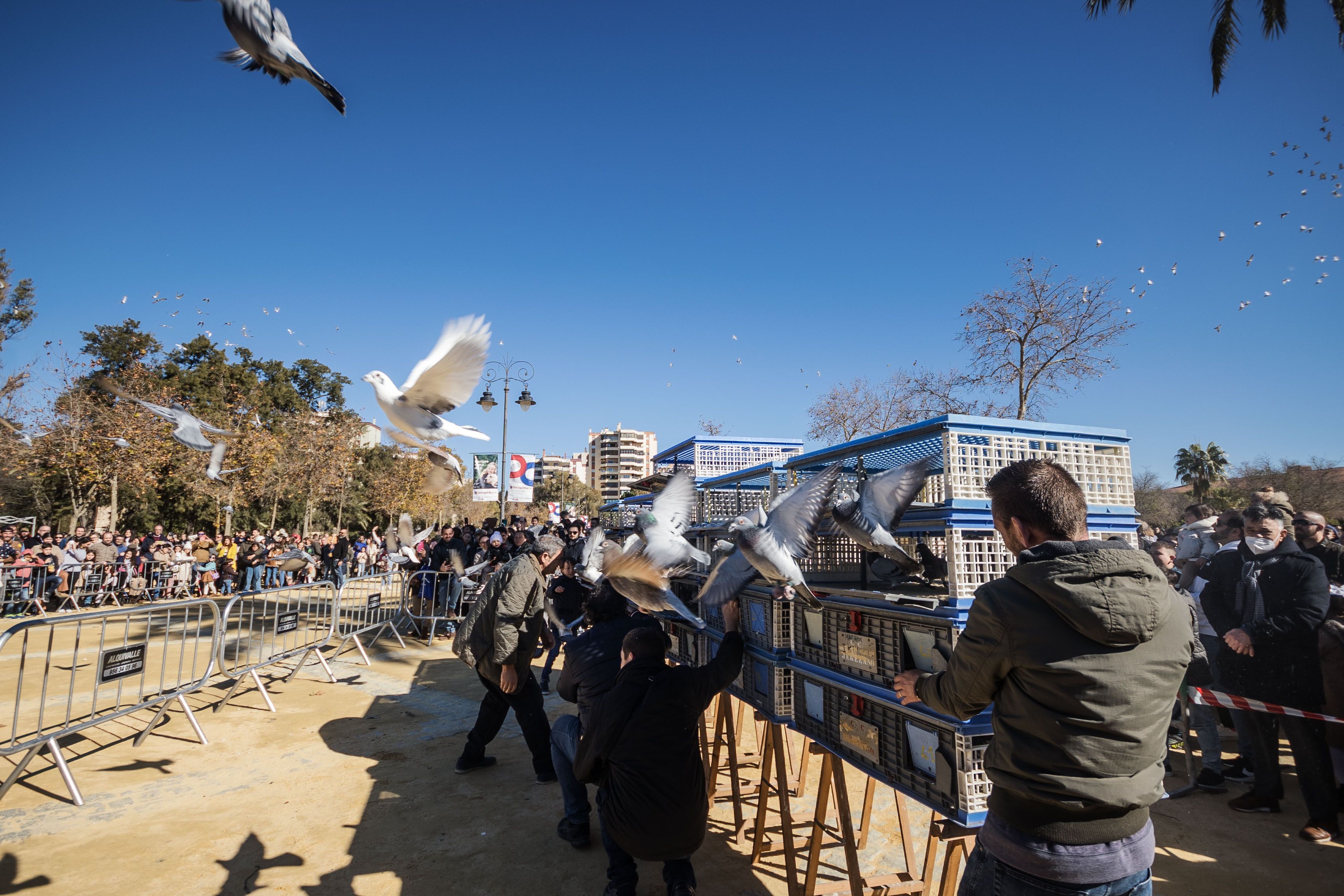 Fiesta de San Antón de 2023 en Jerez Fiesta de San Antón de 2023 en Jerez