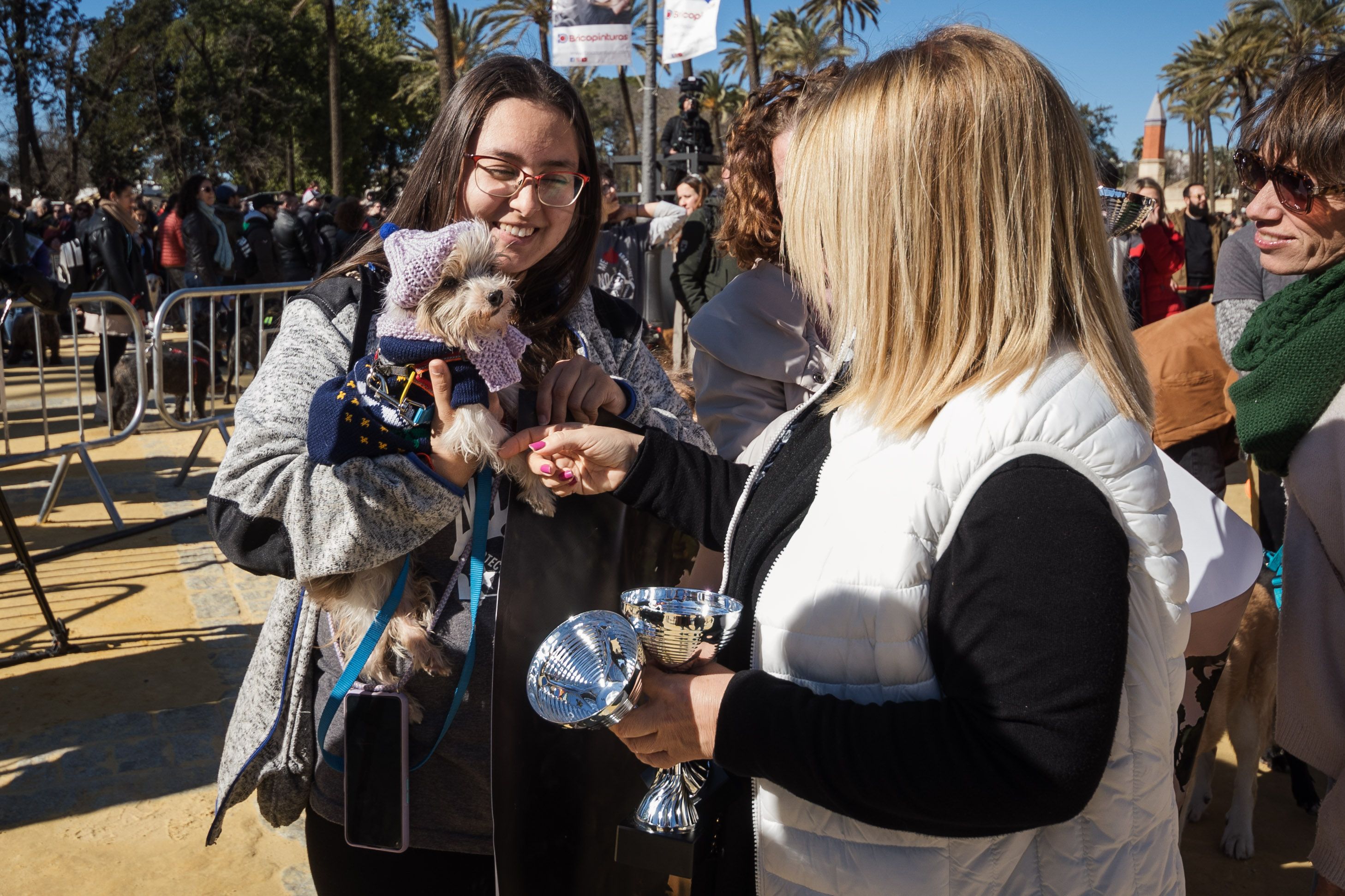 Fiesta de San Antón de 2023 en Jerez Fiesta de San Antón de 2023 en Jerez