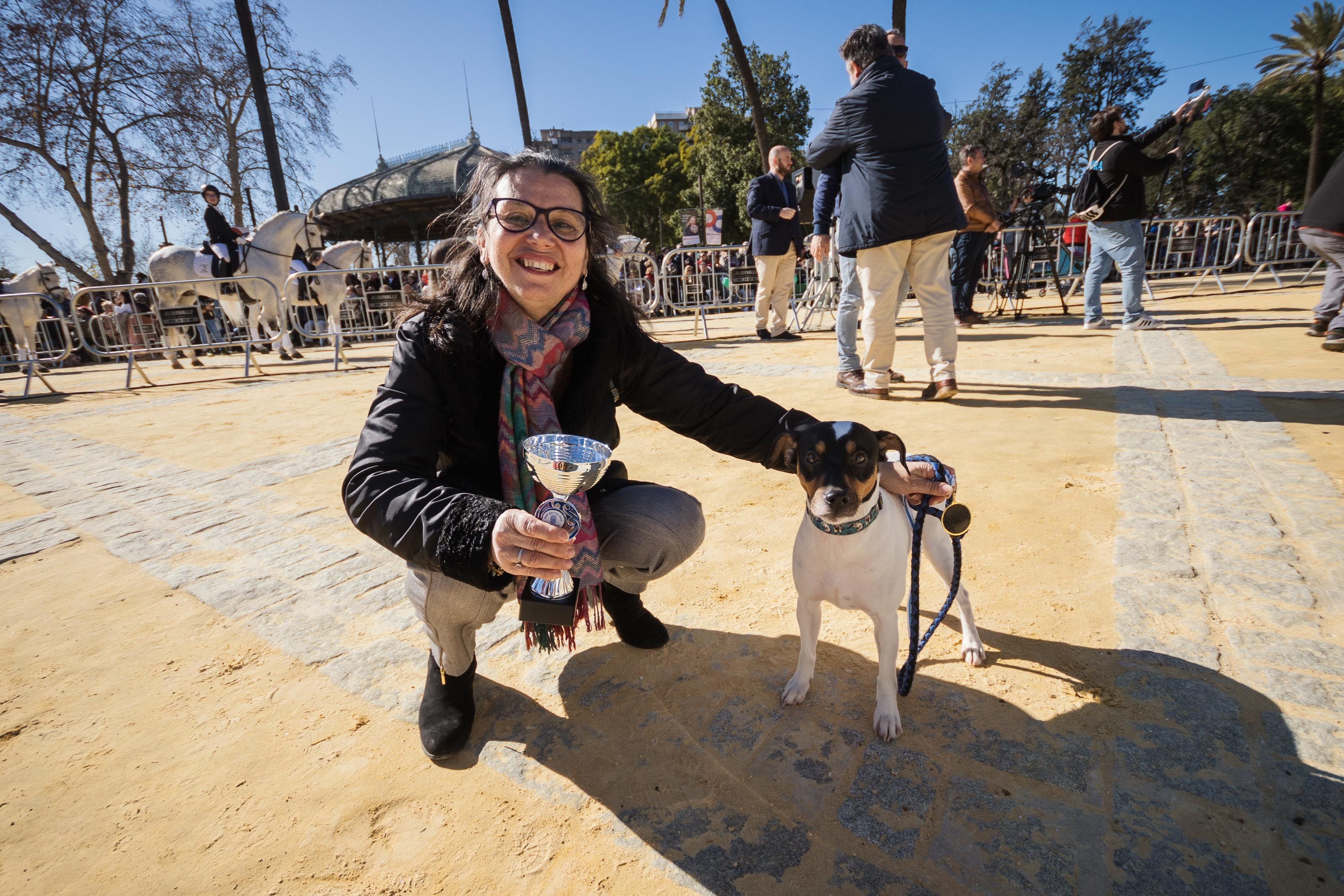 Fiesta de San Antón de 2023 en Jerez Fiesta de San Antón de 2023 en Jerez