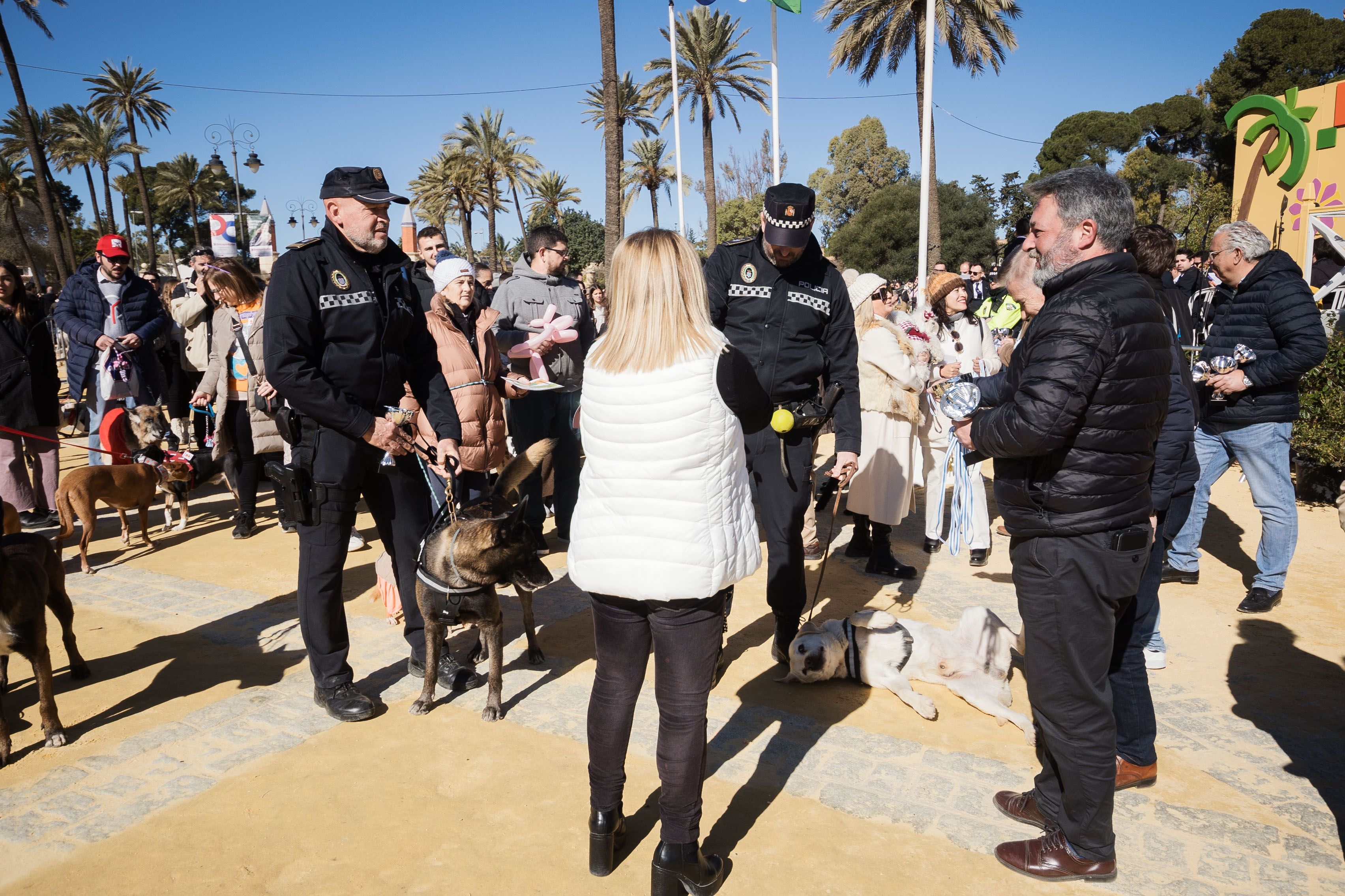 Fiesta de San Antón de 2023 en Jerez Fiesta de San Antón de 2023 en Jerez