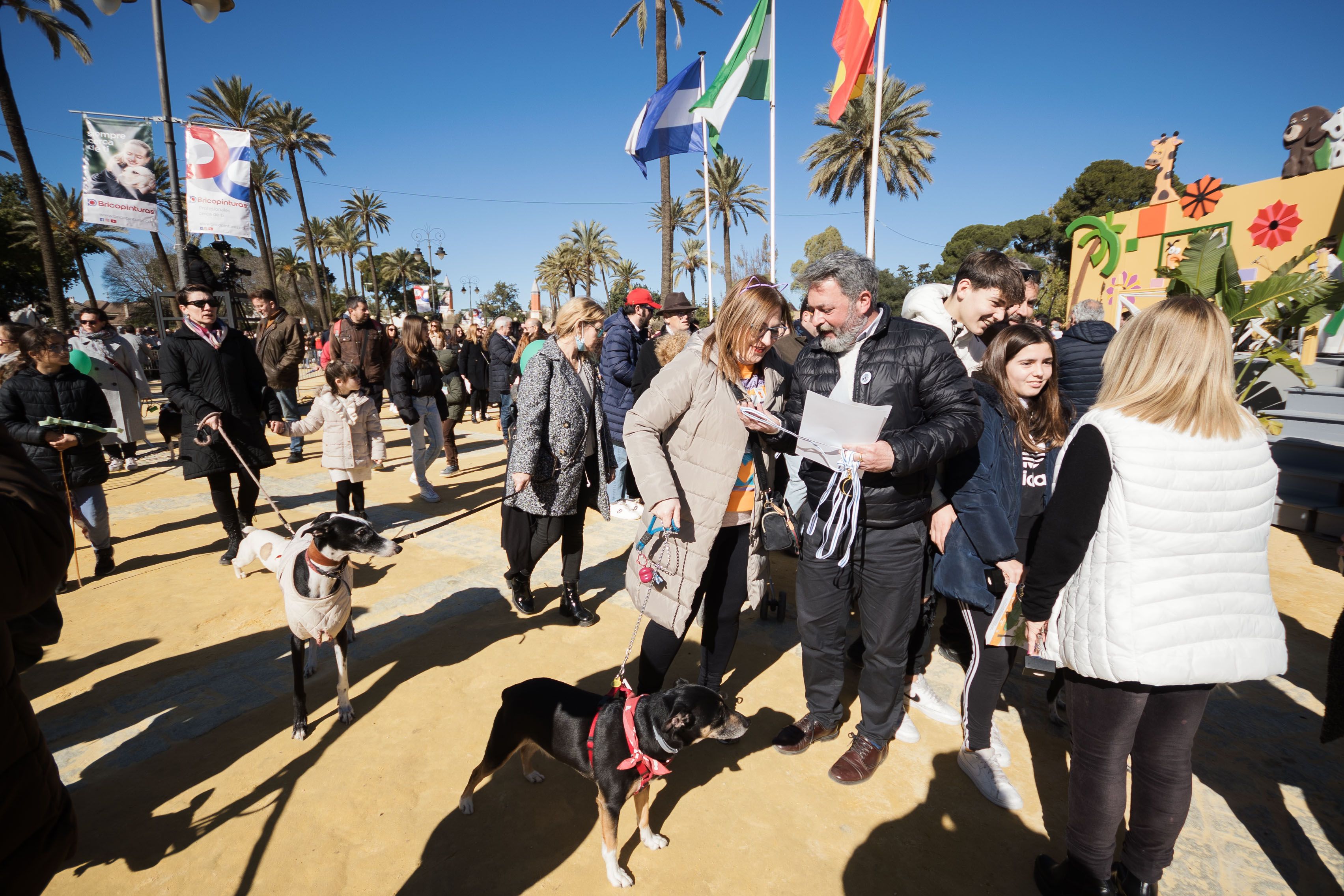 Fiesta de San Antón de 2023 en Jerez Fiesta de San Antón de 2023 en Jerez