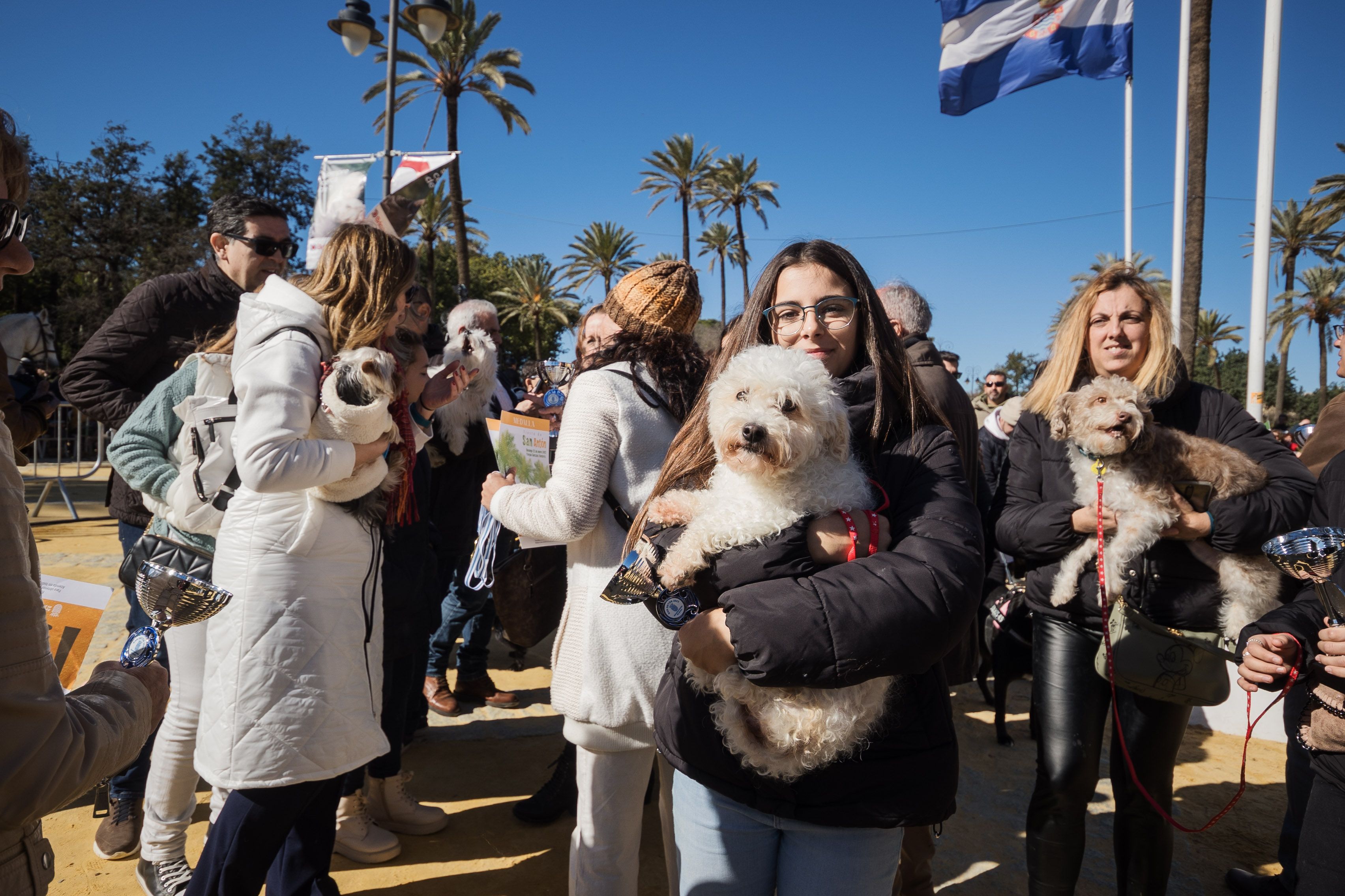 Fiesta de San Antón de 2023 en Jerez Fiesta de San Antón de 2023 en Jerez