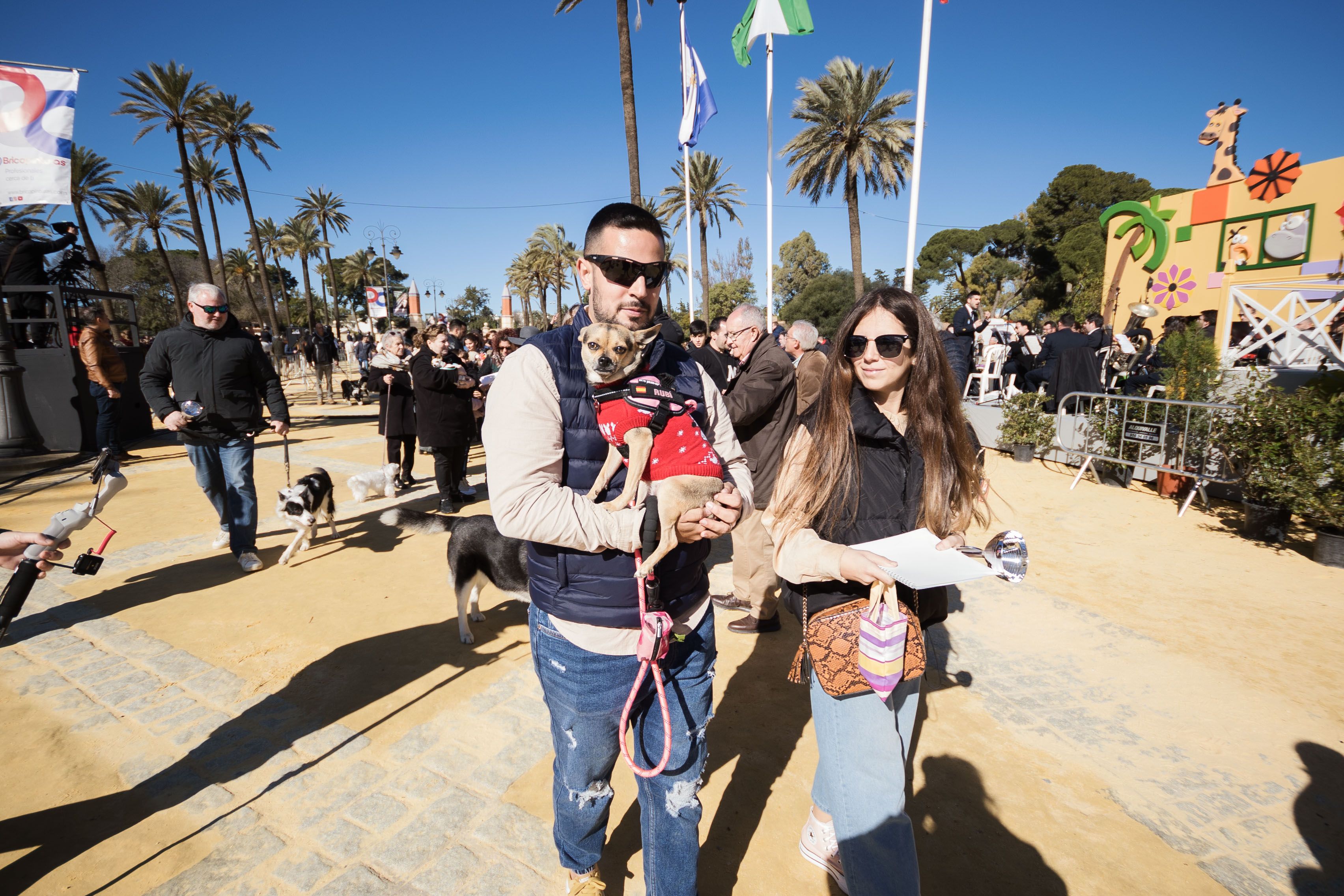 Fiesta de San Antón de 2023 en Jerez Fiesta de San Antón de 2023 en Jerez