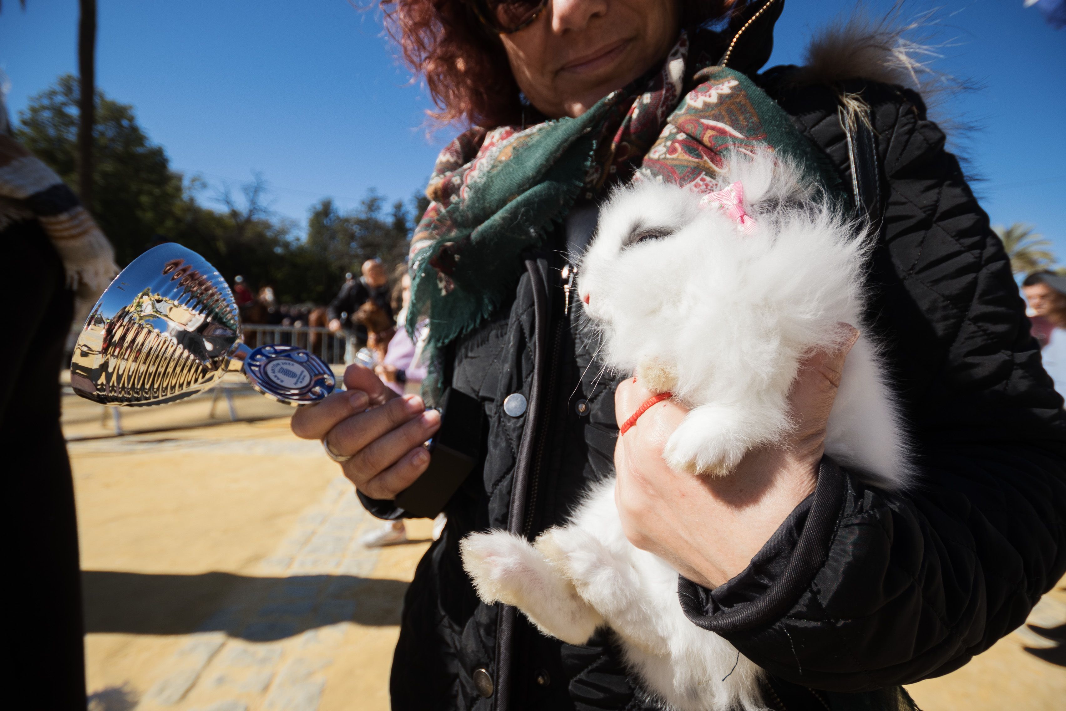 Fiesta de San Antón de 2023 en Jerez Fiesta de San Antón de 2023 en Jerez