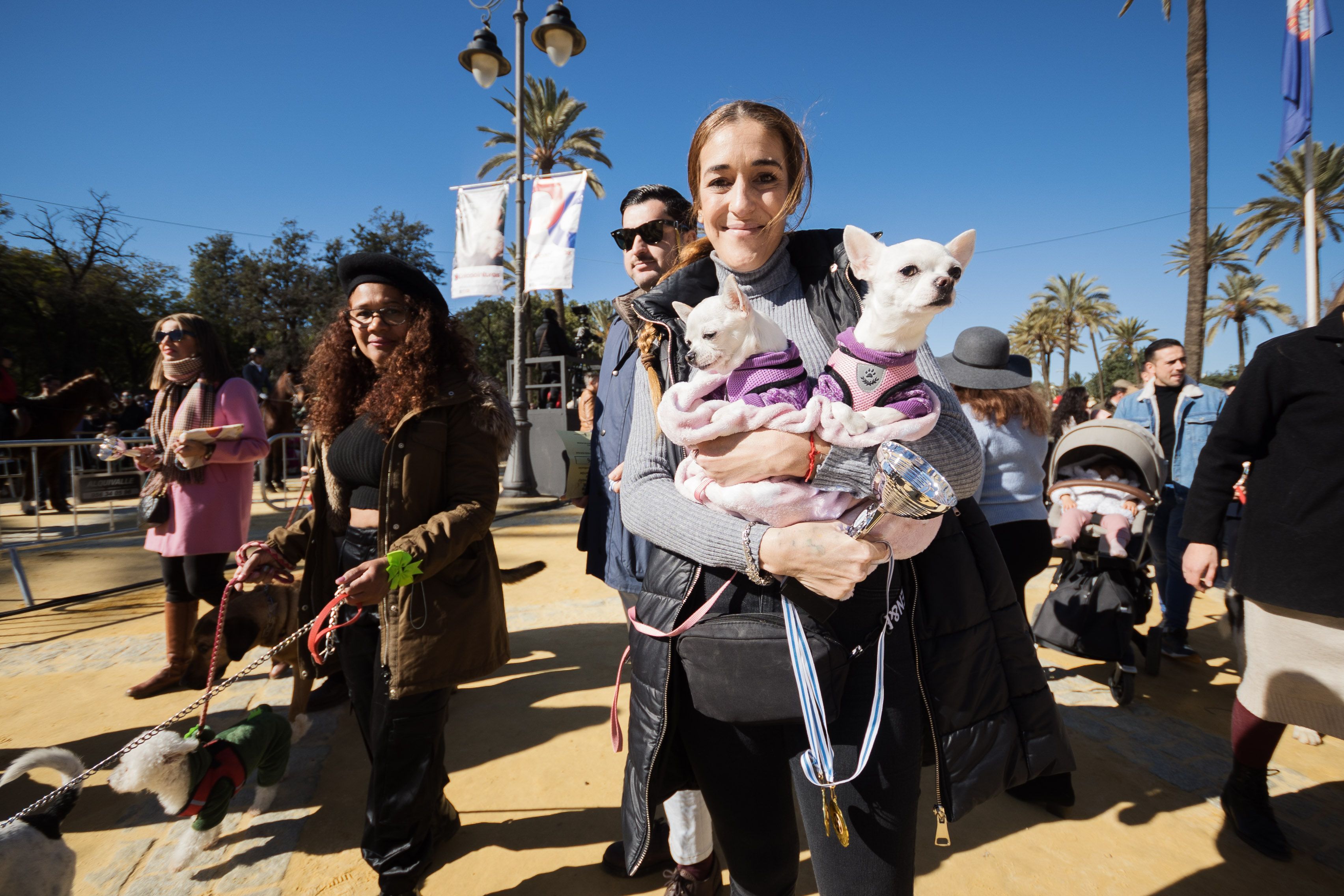 Fiesta de San Antón de 2023 en Jerez Fiesta de San Antón de 2023 en Jerez