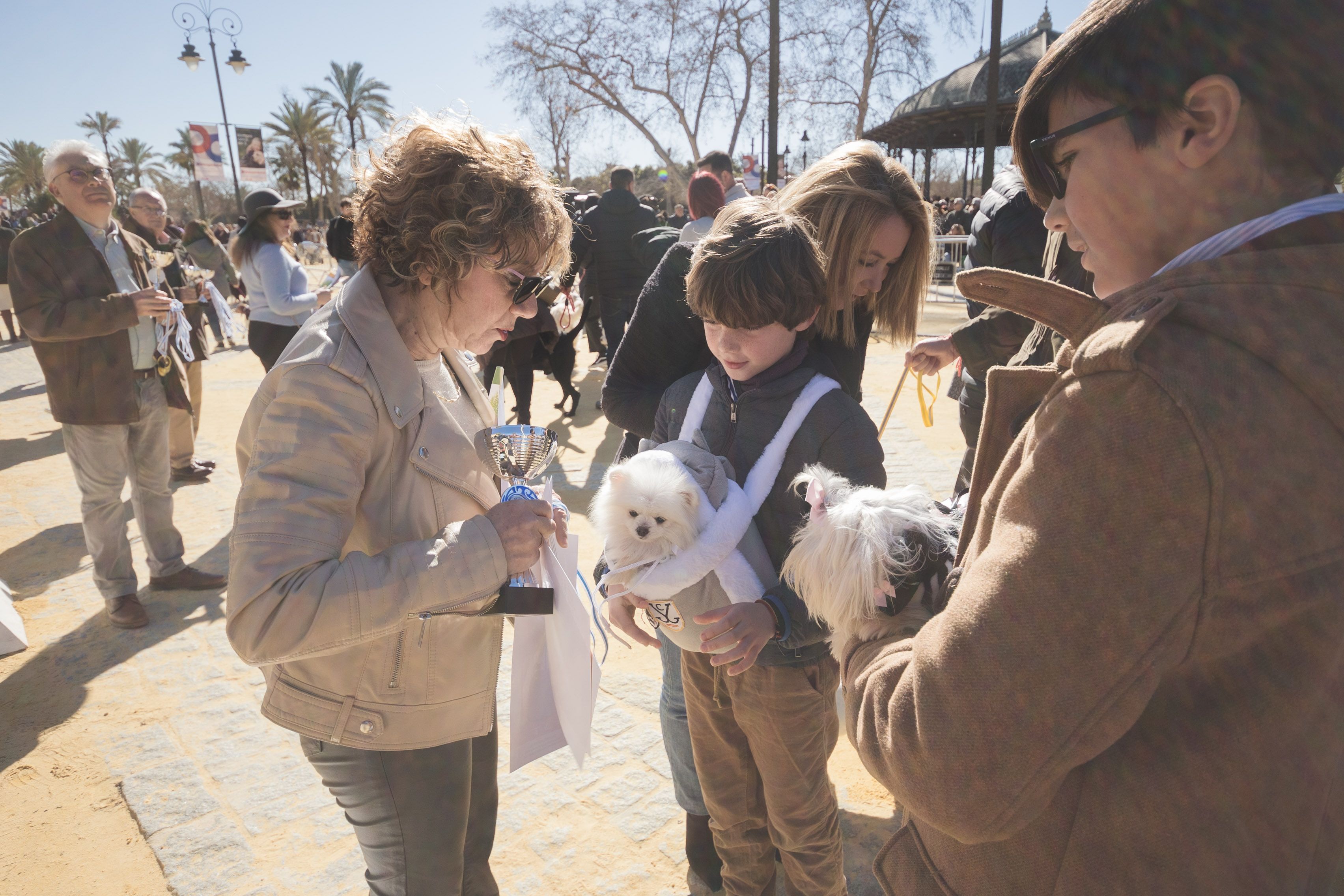 Fiesta de San Antón de 2023 en Jerez Fiesta de San Antón de 2023 en Jerez