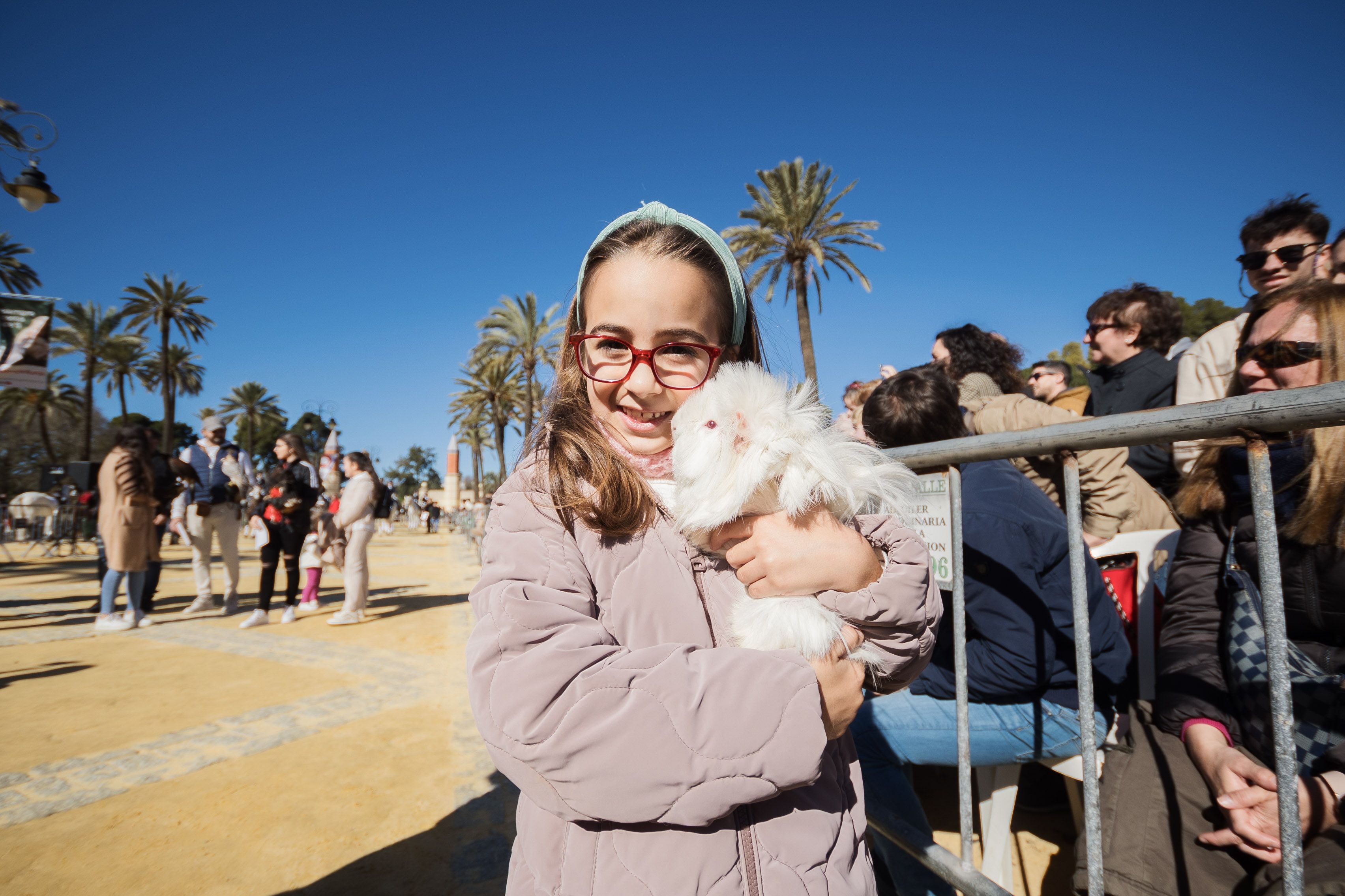 Fiesta de San Antón del pasado años 2023 Fiesta de San Antón del pasado años 2023
