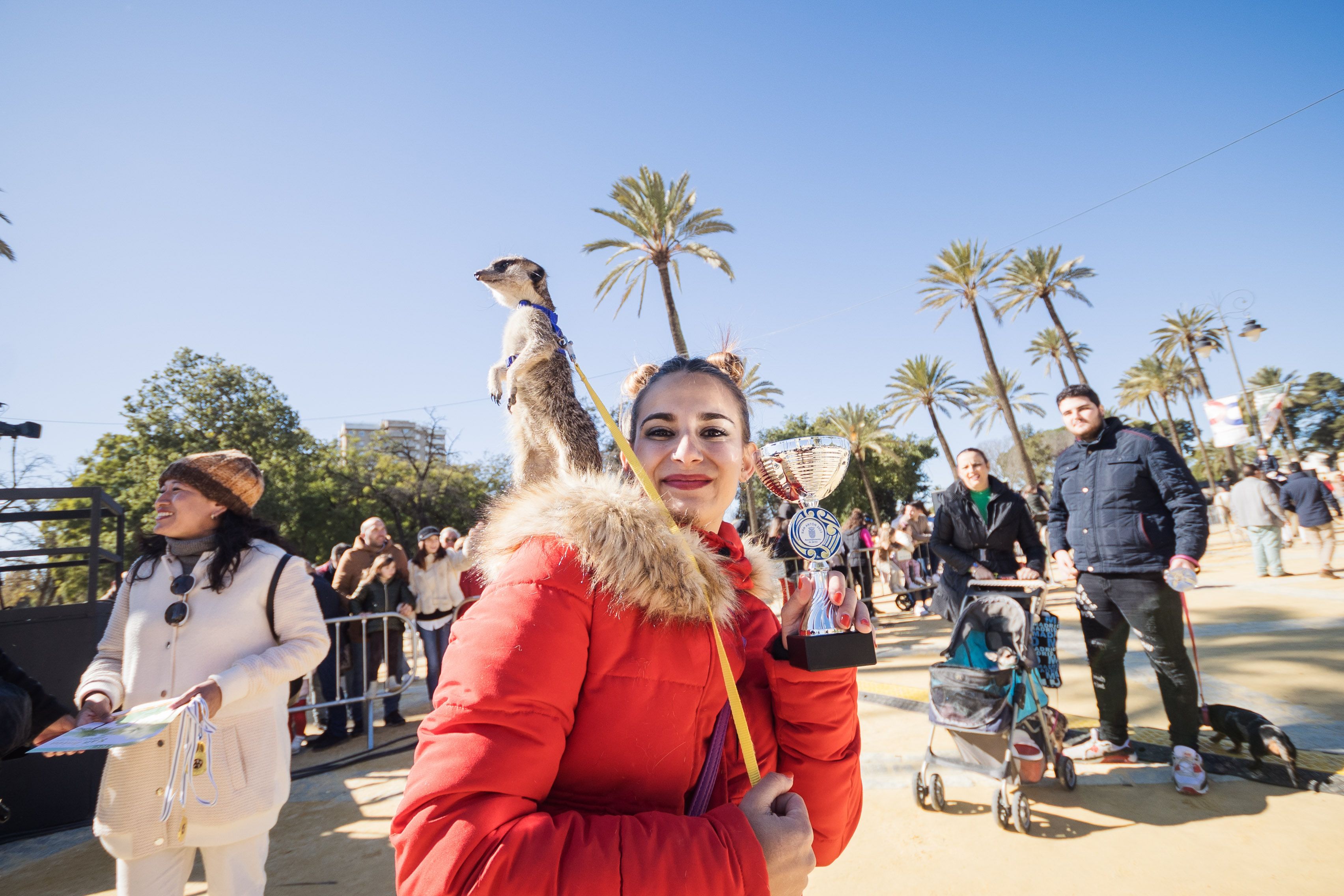 Fiesta de San Antón de 2023 en Jerez.
