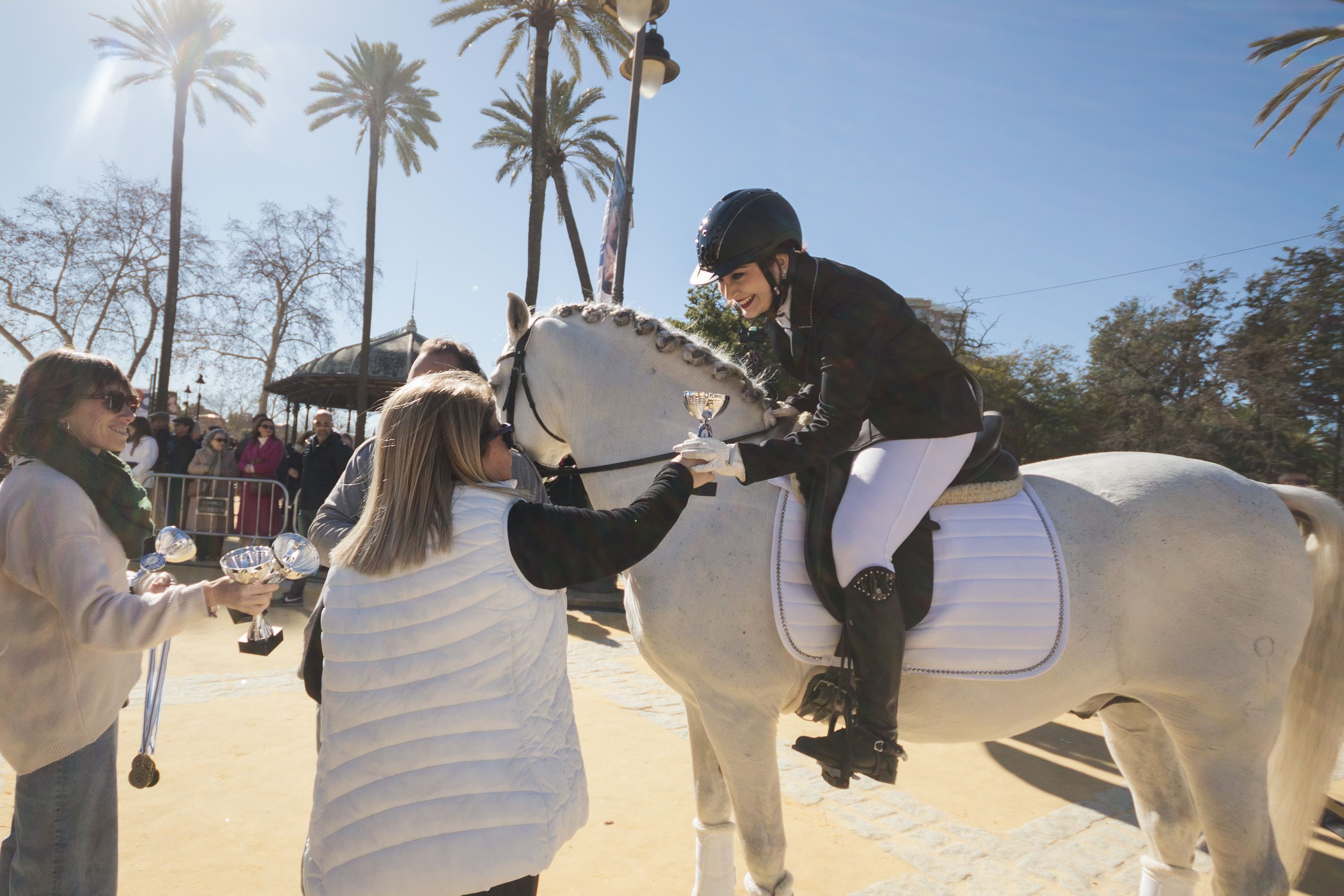 Fiesta de San Antón de 2023 en Jerez Fiesta de San Antón de 2023 en Jerez
