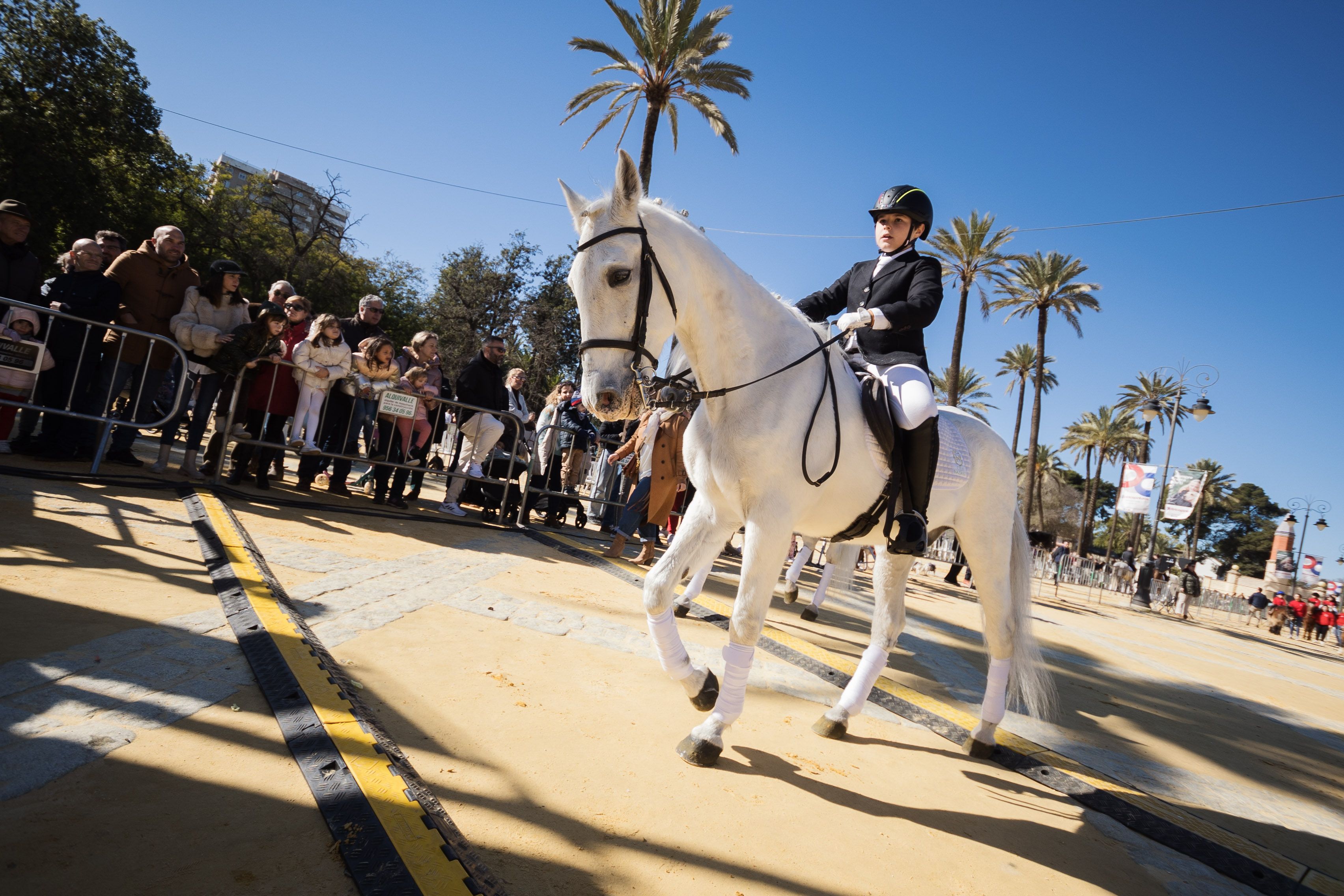 Fiesta de San Antón de 2023 en Jerez Fiesta de San Antón de 2023 en Jerez