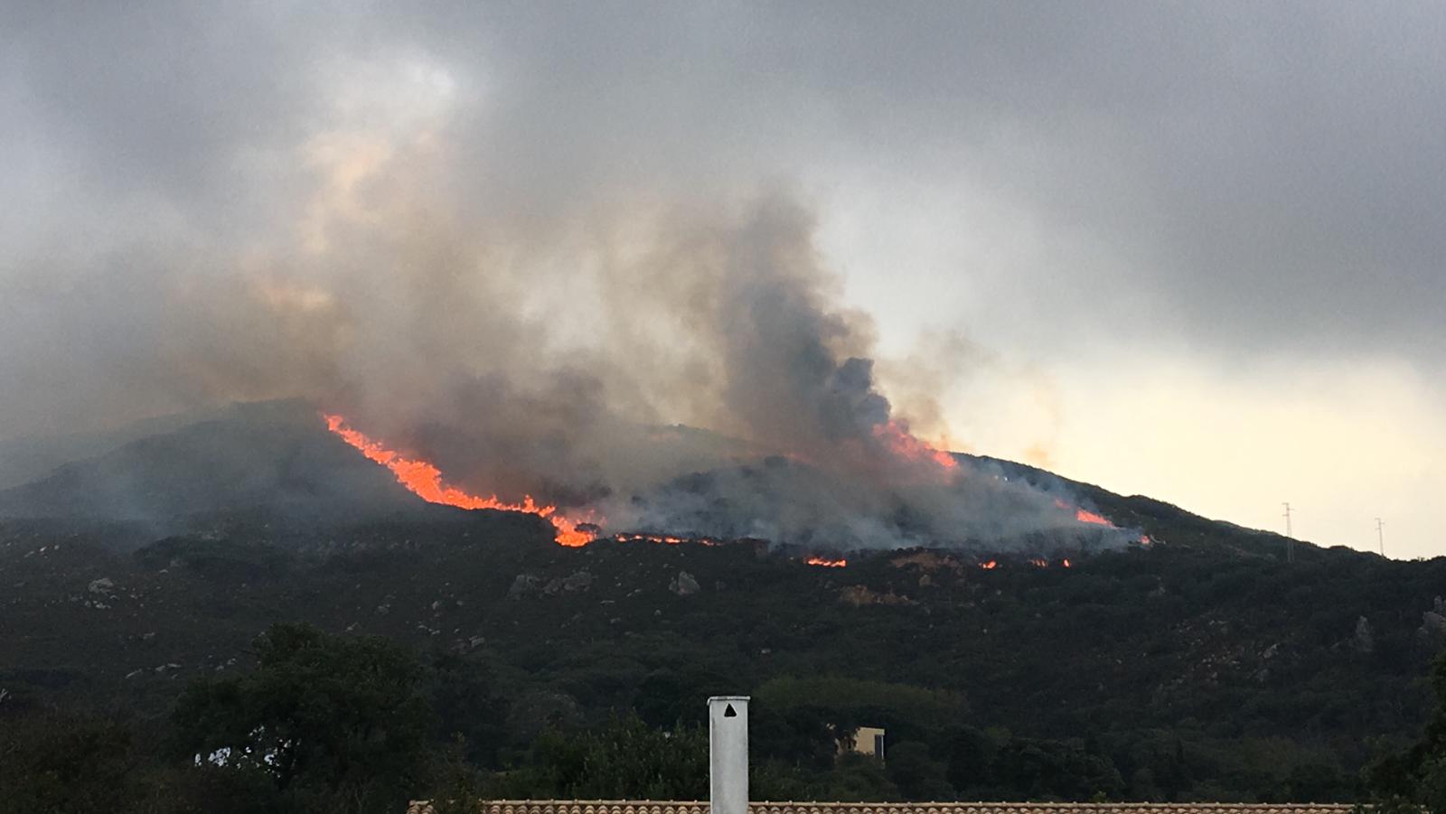 Incendio en Tarifa, este pasado lunes. FOTO: Infoca