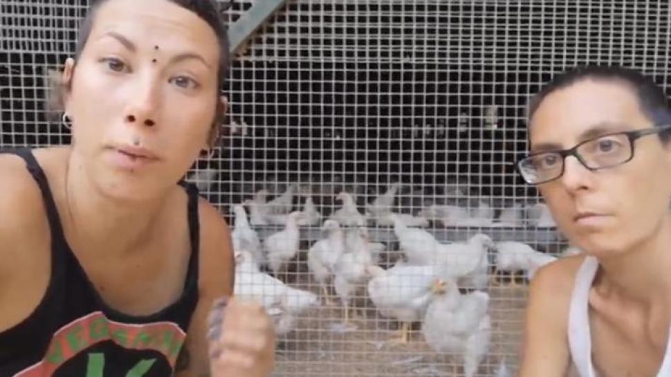 Un fragmento del vídeo de las veganas defensoras de las gallinas.