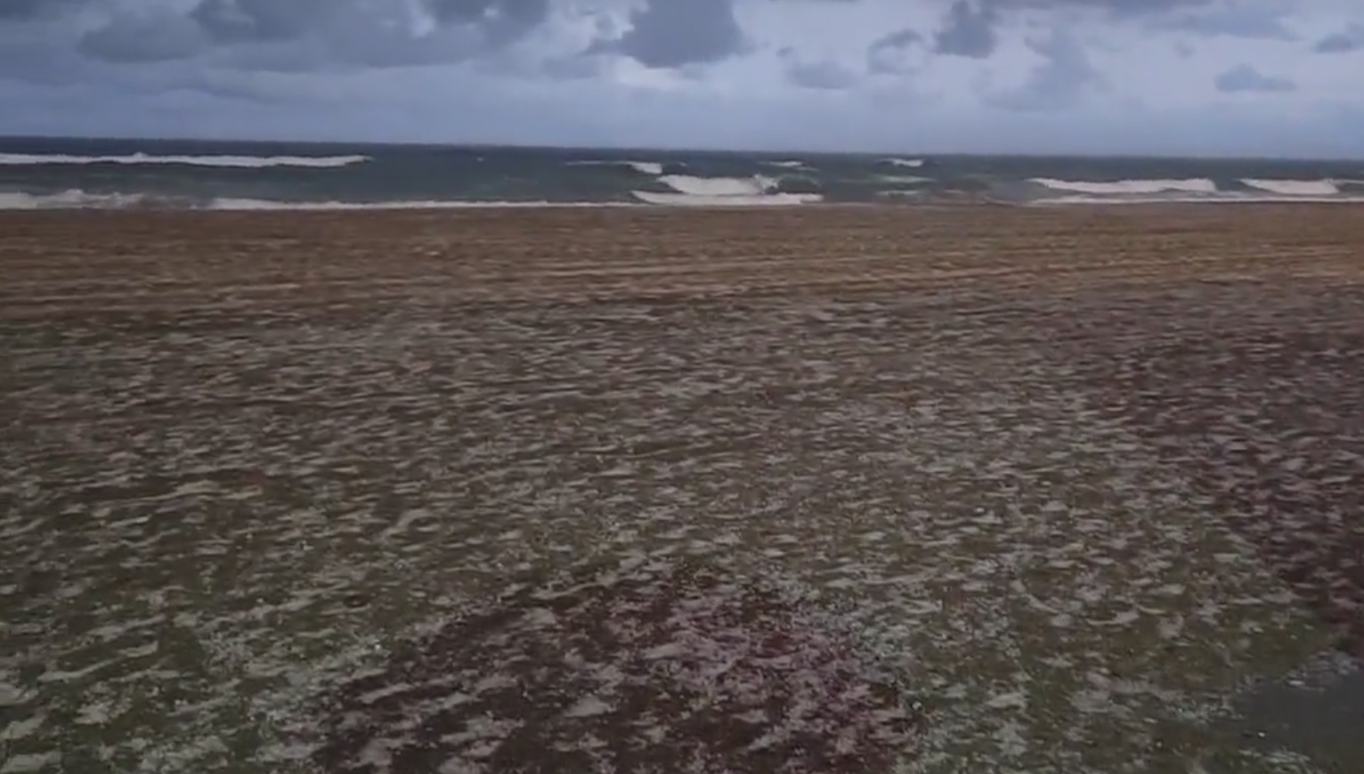 La playa de la Misericordia en Málaga, cubierta de nieve por la tormenta de granizo.