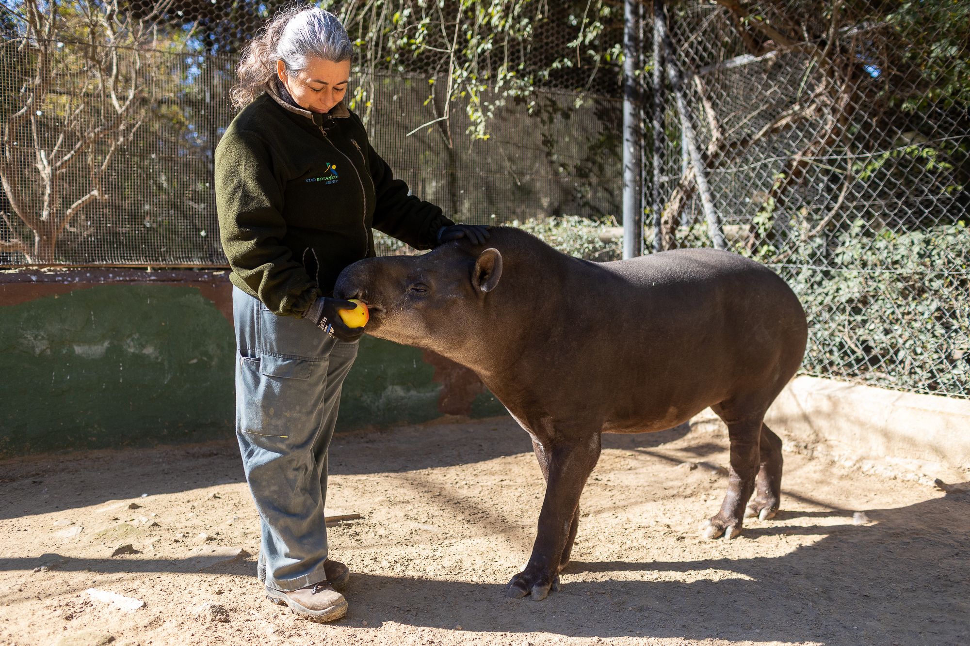 Una cuidadora del Zoo de Jerez da de comer a un ejemplar de la colección, en una imagen de archivo.